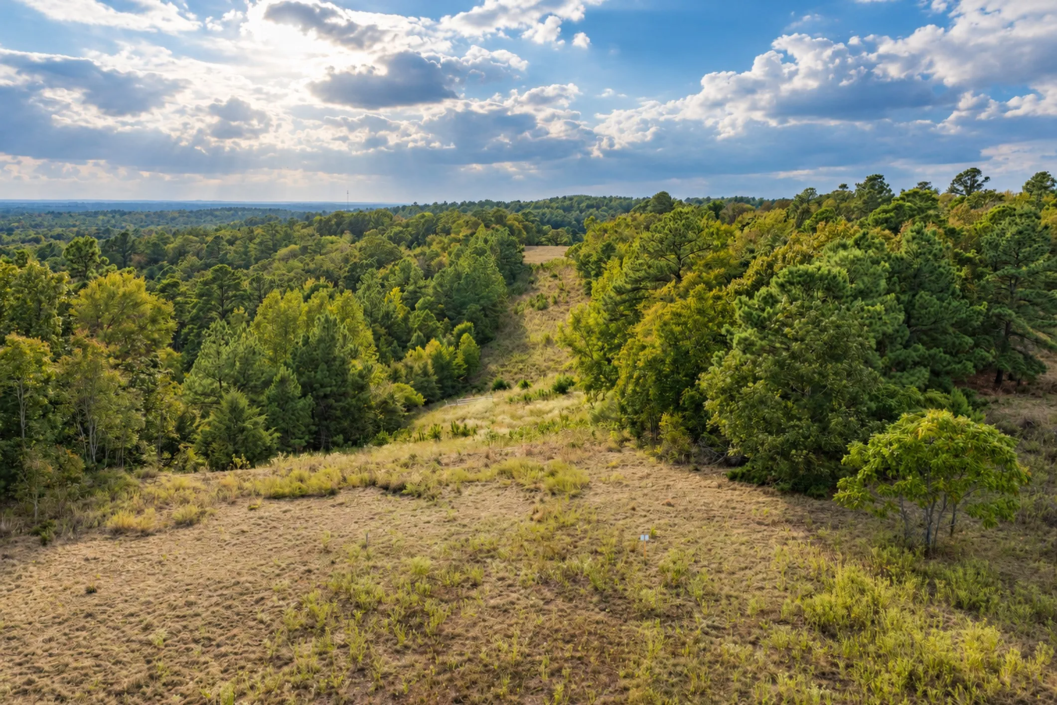 Unimproved Land For Sale in Anderson County , 00 Off of County Road 448, Palestine, Texas 75803, 0, 0, Garage spaces, 0 Sqft, built in 0, mls#21403258, Real Estate Agent in Palestine, Homes For Sale in Anderson county, Homes For Sale in Palestine, Realtor in Palestine Texas, Real Estate Brokerage Independent Realty Texas, Luminita Cordes Realtor