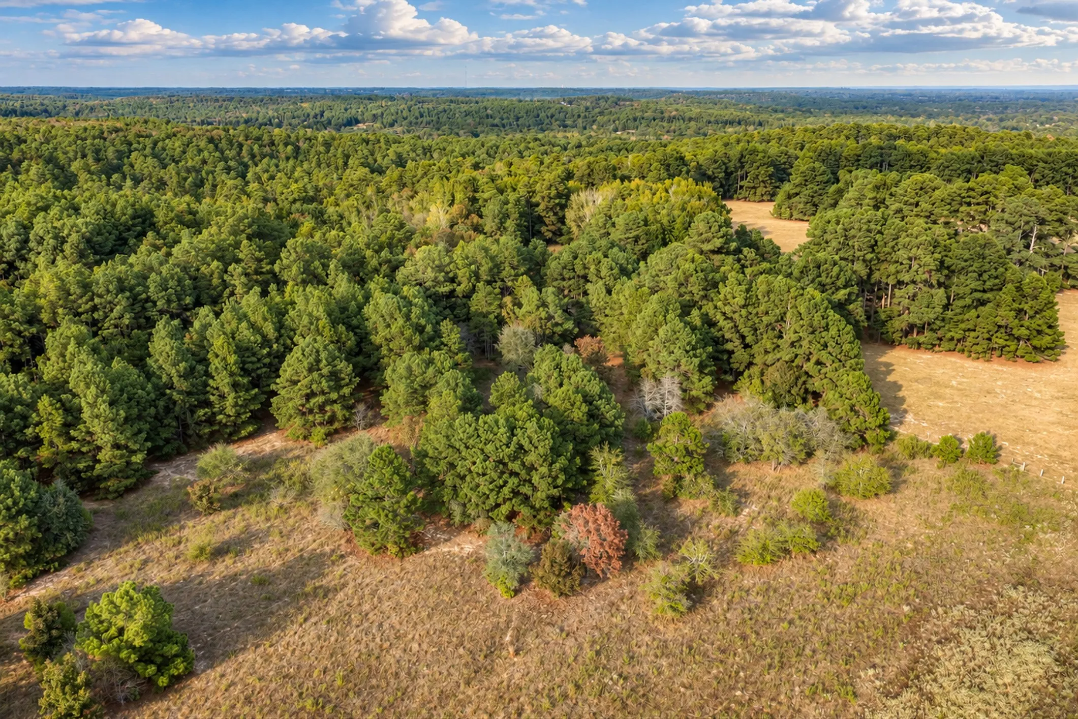 Unimproved Land For Sale in Anderson County , 00 Off of County Road 448, Palestine, Texas 75803, 0, 0, Garage spaces, 0 Sqft, built in 0, mls#21403258, Real Estate Agent in Palestine, Homes For Sale in Anderson county, Homes For Sale in Palestine, Realtor in Palestine Texas, Real Estate Brokerage Independent Realty Texas, Luminita Cordes Realtor