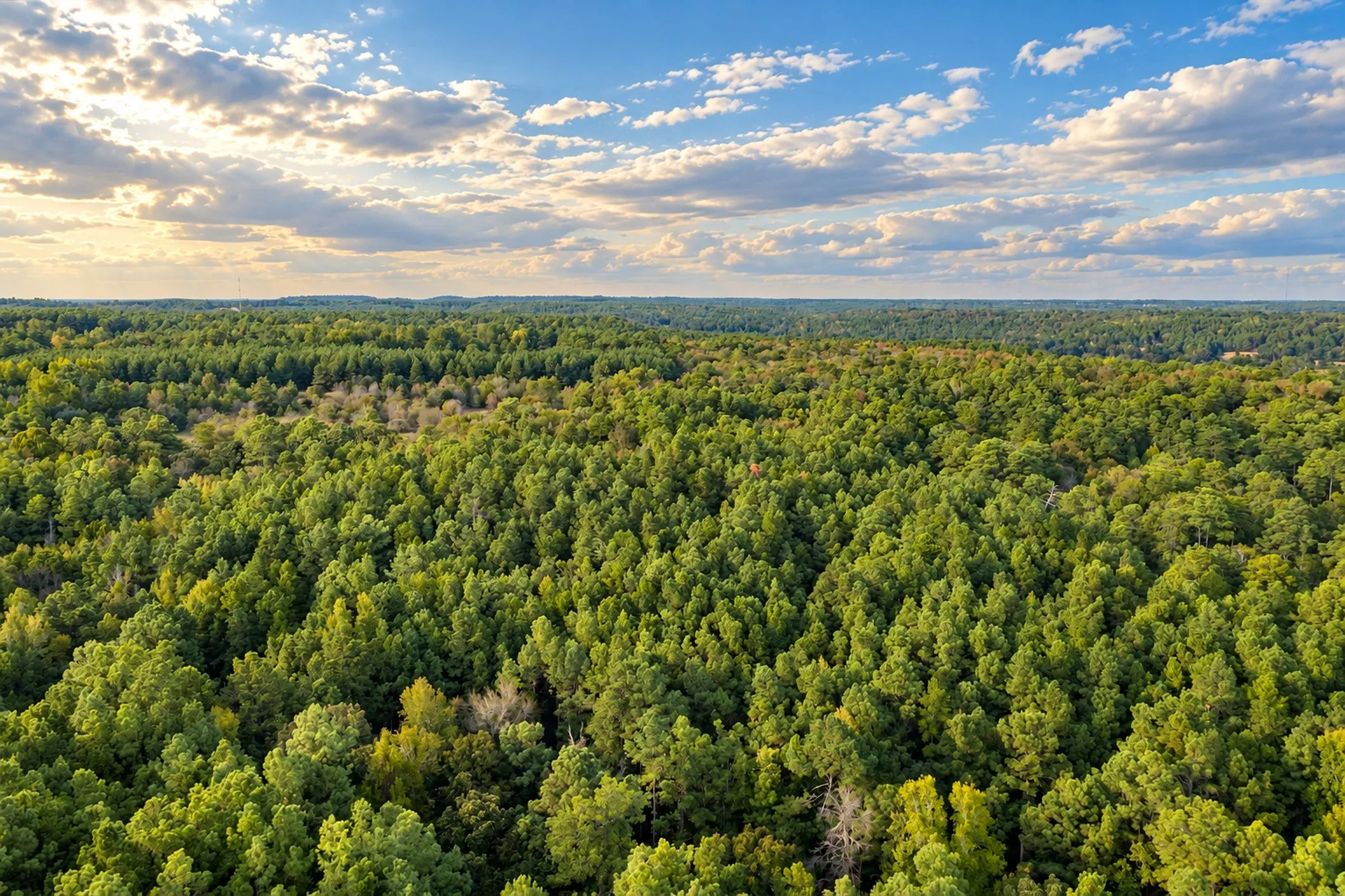 Unimproved Land For Sale in Anderson County , 00 Off of County Road 448, Palestine, Texas 75803, 0, 0, Garage spaces, 0 Sqft, built in 0, mls#21403258, Real Estate Agent in Palestine, Homes For Sale in Anderson county, Homes For Sale in Palestine, Realtor in Palestine Texas, Real Estate Brokerage Independent Realty Texas, Luminita Cordes Realtor