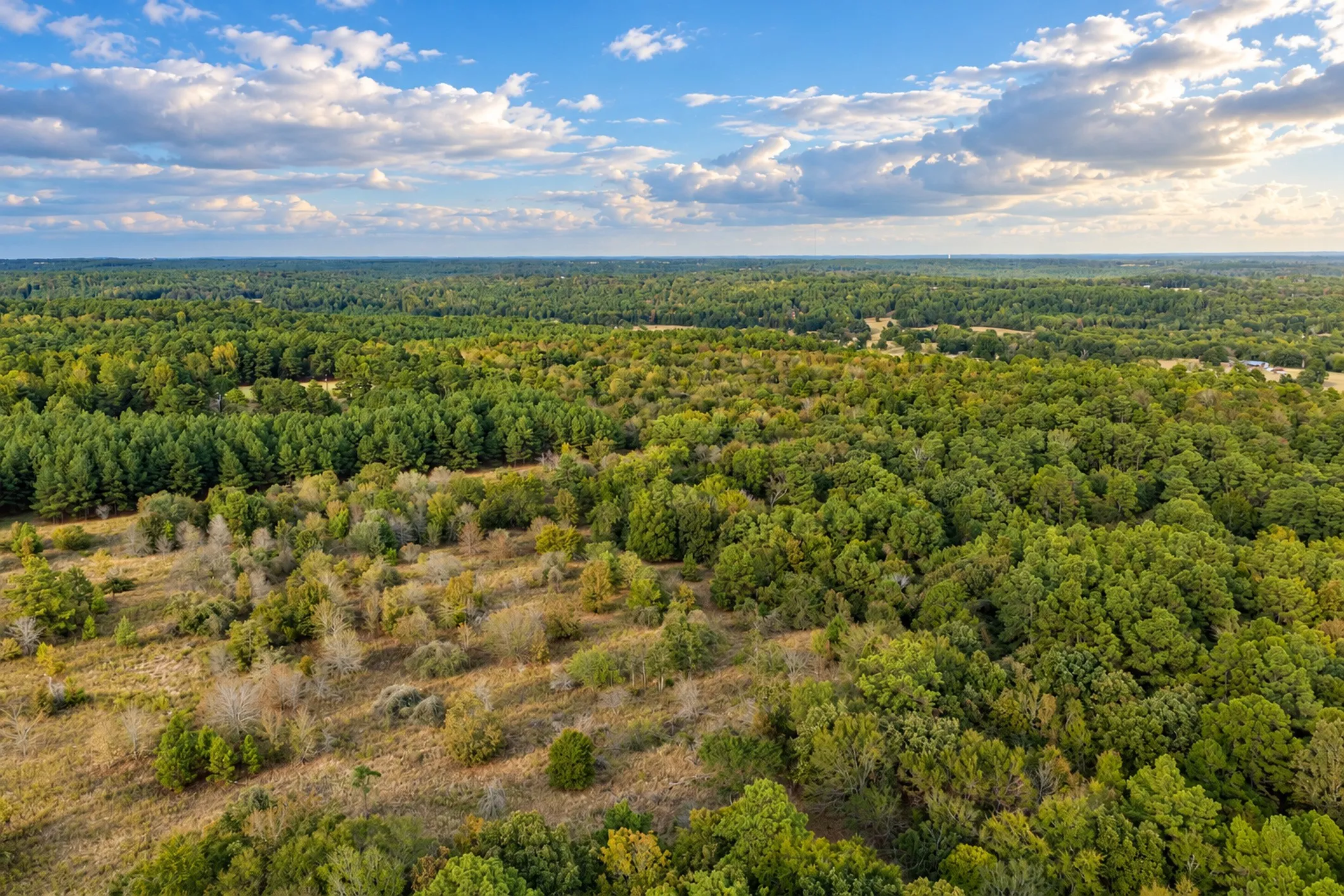 Unimproved Land For Sale in Anderson County , 00 Off of County Road 448, Palestine, Texas 75803, 0, 0, Garage spaces, 0 Sqft, built in 0, mls#21403258, Real Estate Agent in Palestine, Homes For Sale in Anderson county, Homes For Sale in Palestine, Realtor in Palestine Texas, Real Estate Brokerage Independent Realty Texas, Luminita Cordes Realtor