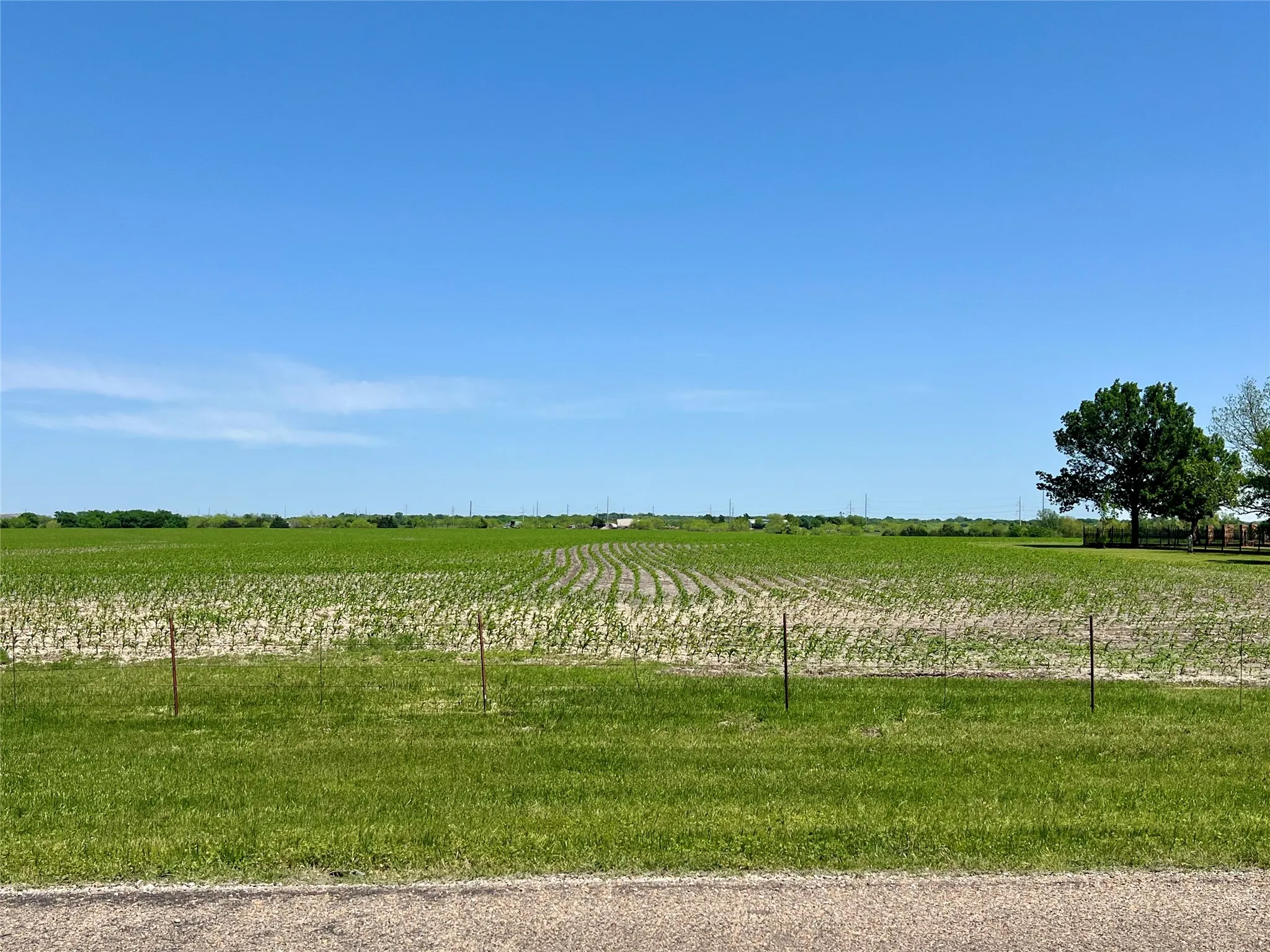 Unimproved Land For Sale in Ellis County , 11.57 acres Tract 4 FM 1722, Ennis, Texas 75119, 0, 0, Garage spaces, 0 Sqft, built in 1800, mls#21403286, Real Estate Agent in Ennis, Homes For Sale in Ellis county, Homes For Sale in Ennis, Realtor in Ennis Texas, Real Estate Brokerage Independent Realty Texas, Luminita Cordes Realtor