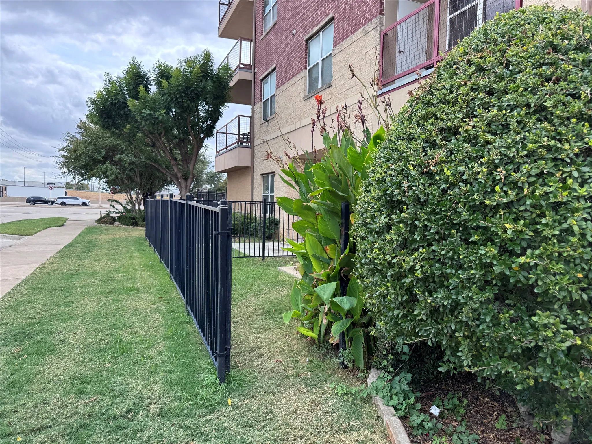 Black metal fencing bordering green lawn and established landscaping