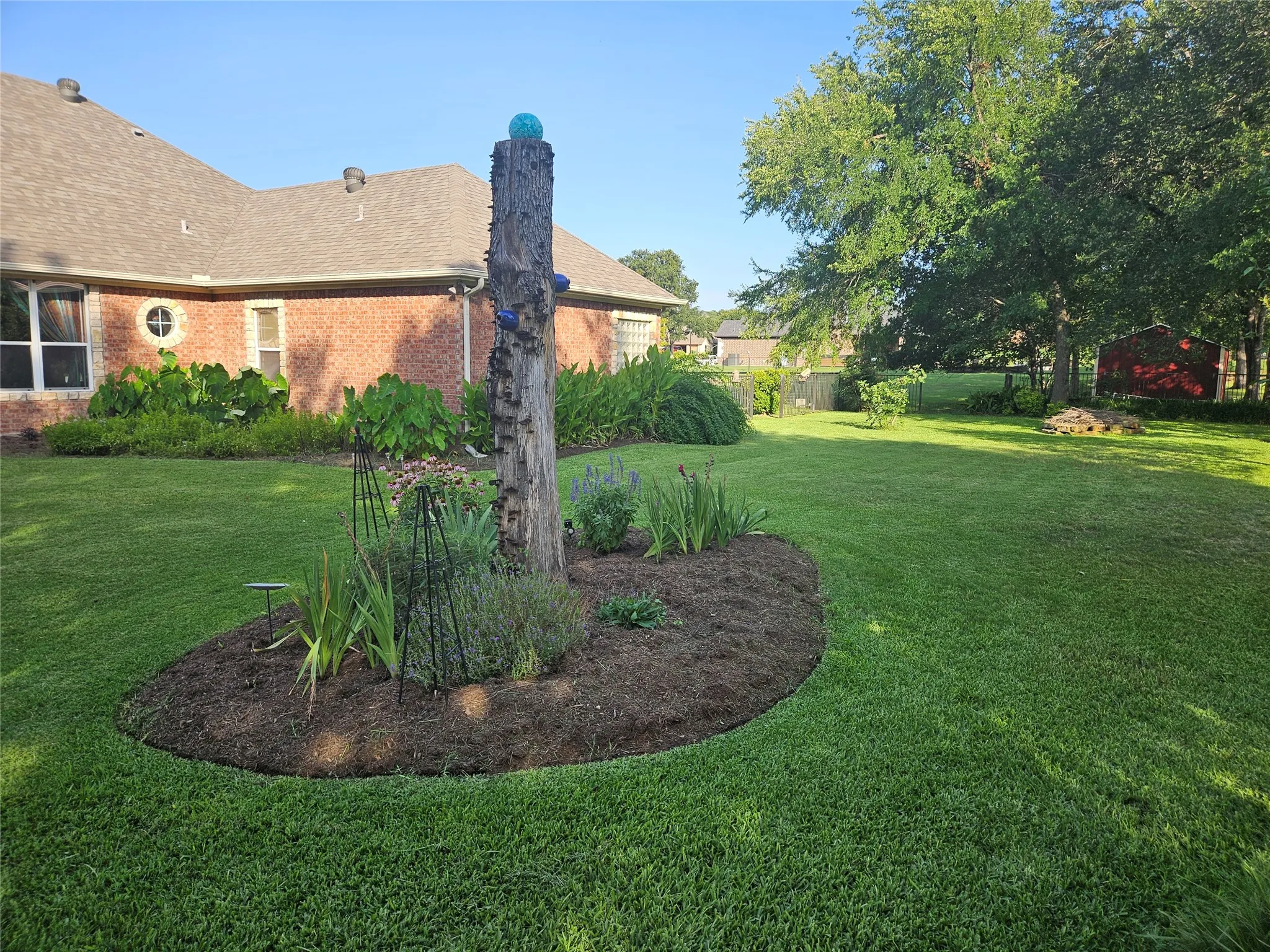 Backyard