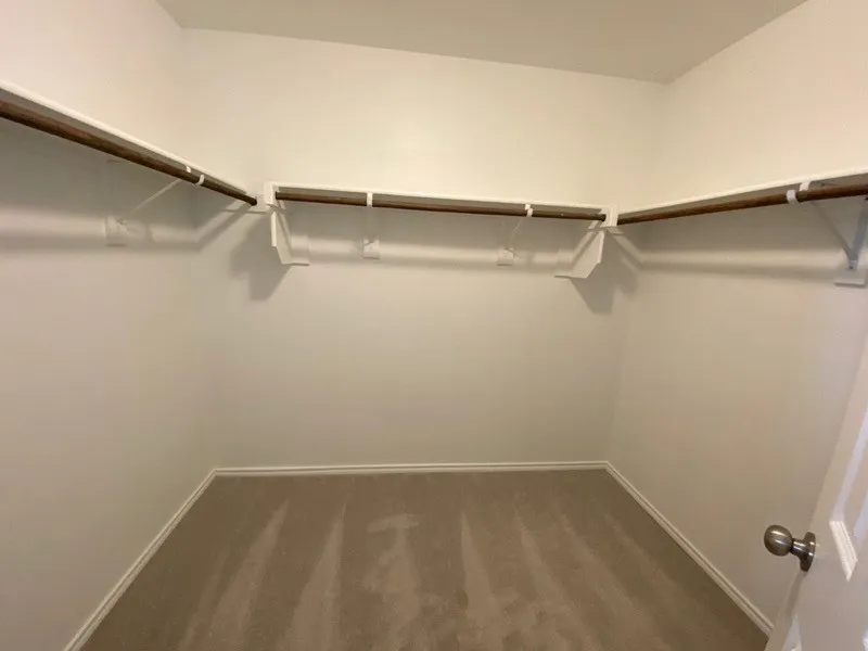 Expansive walk-in closet featuring light-toned walls and plush carpeting