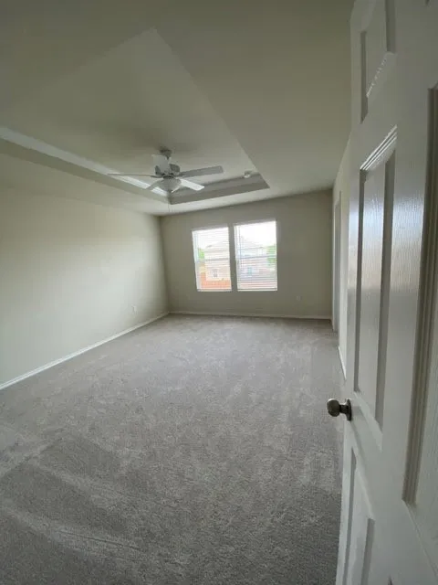 Tray ceiling with a ceiling fan, dual windows, and plush carpet flooring