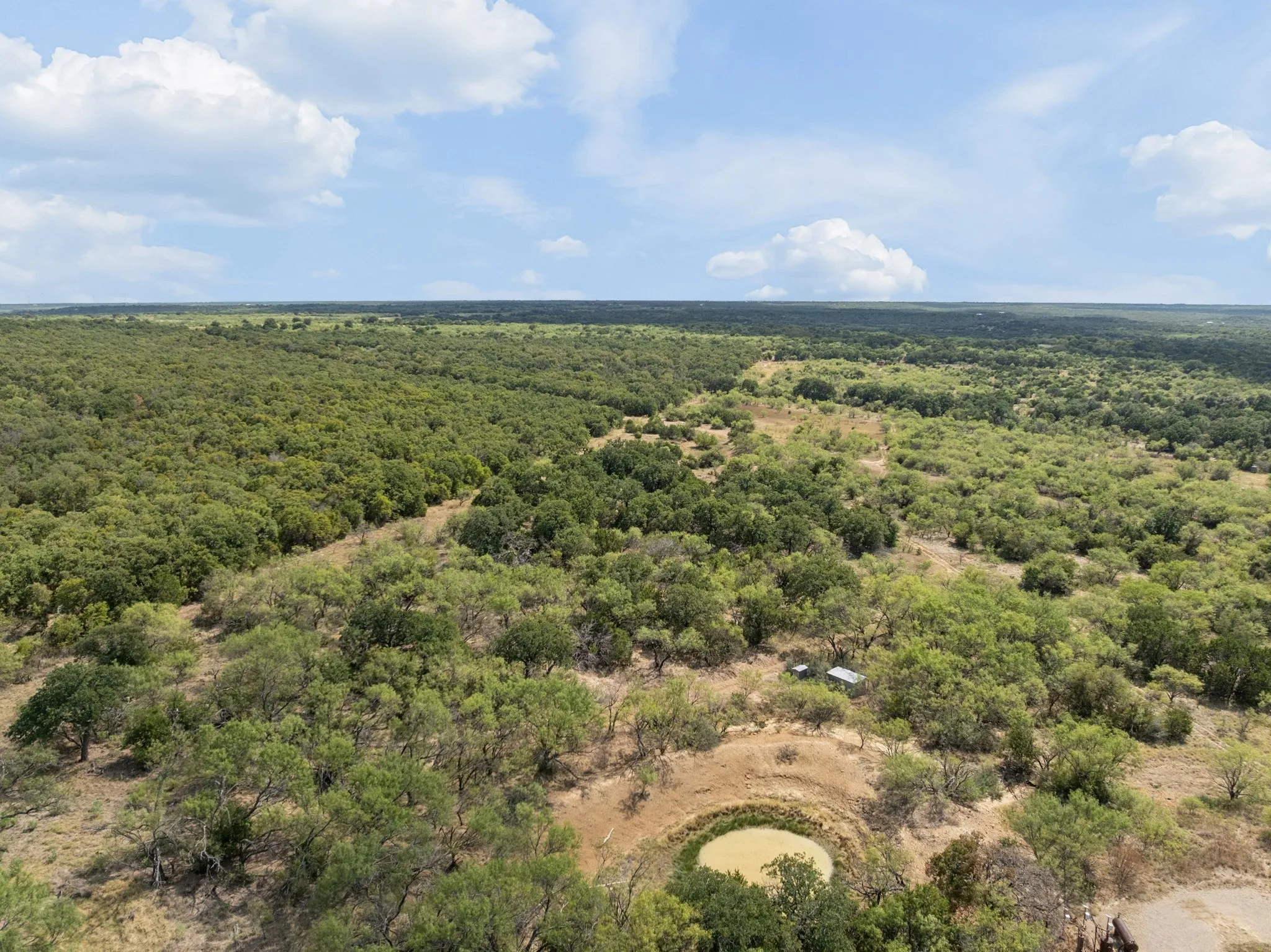 Expansive natural landscape with varied tree coverage, a natural water feature, and a clear sky backdrop
