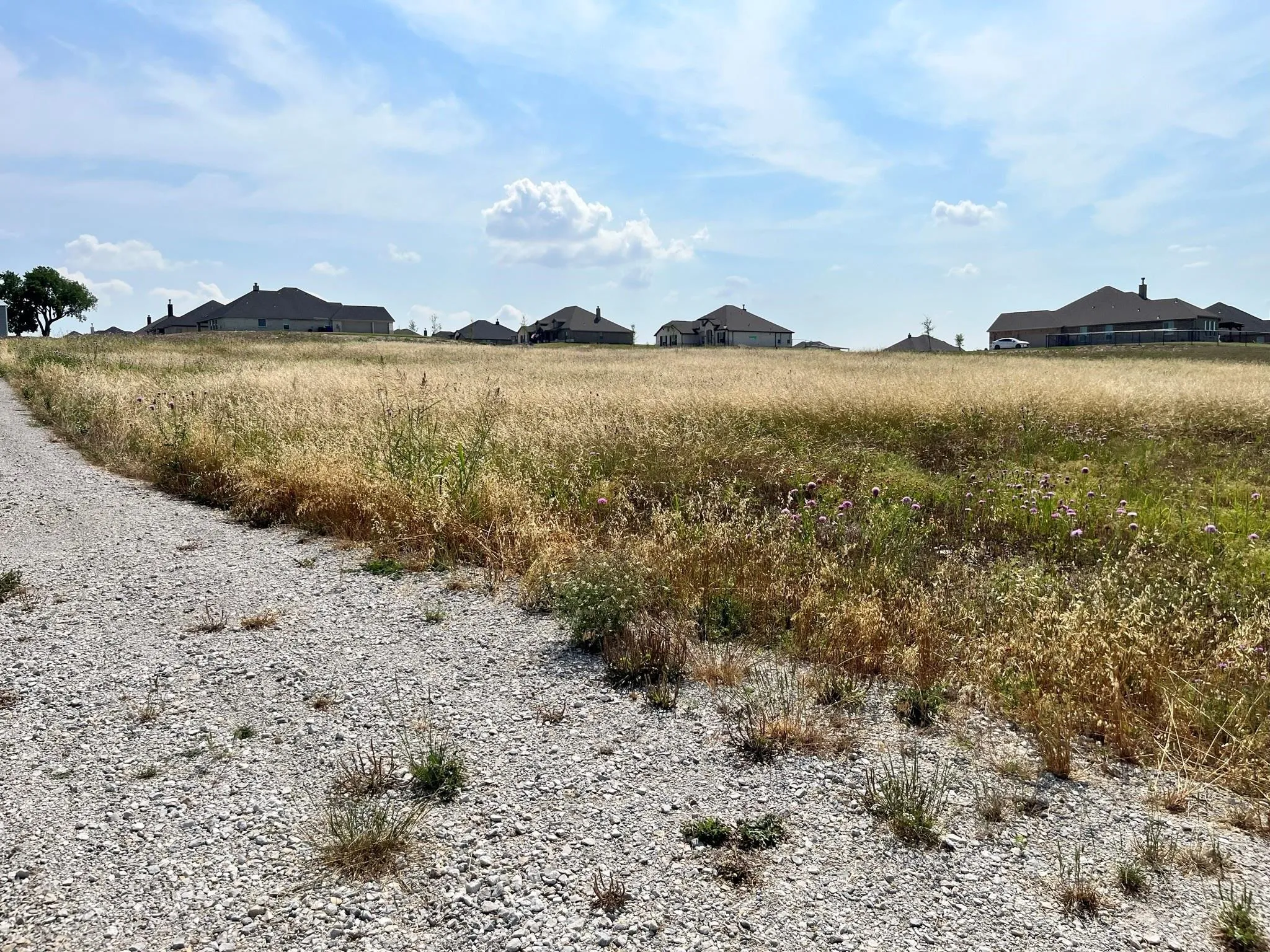 Improved Land For Sale in Denton County , 7405 Autumn Grove Lane, Ponder, Texas 76259, 0, 0, Garage spaces, 0 Sqft, built in 0, mls#21403409, Real Estate Agent in Ponder, Homes For Sale in Denton county, Homes For Sale in Ponder, Realtor in Ponder Texas, Real Estate Brokerage Independent Realty Texas, Luminita Cordes Realtor