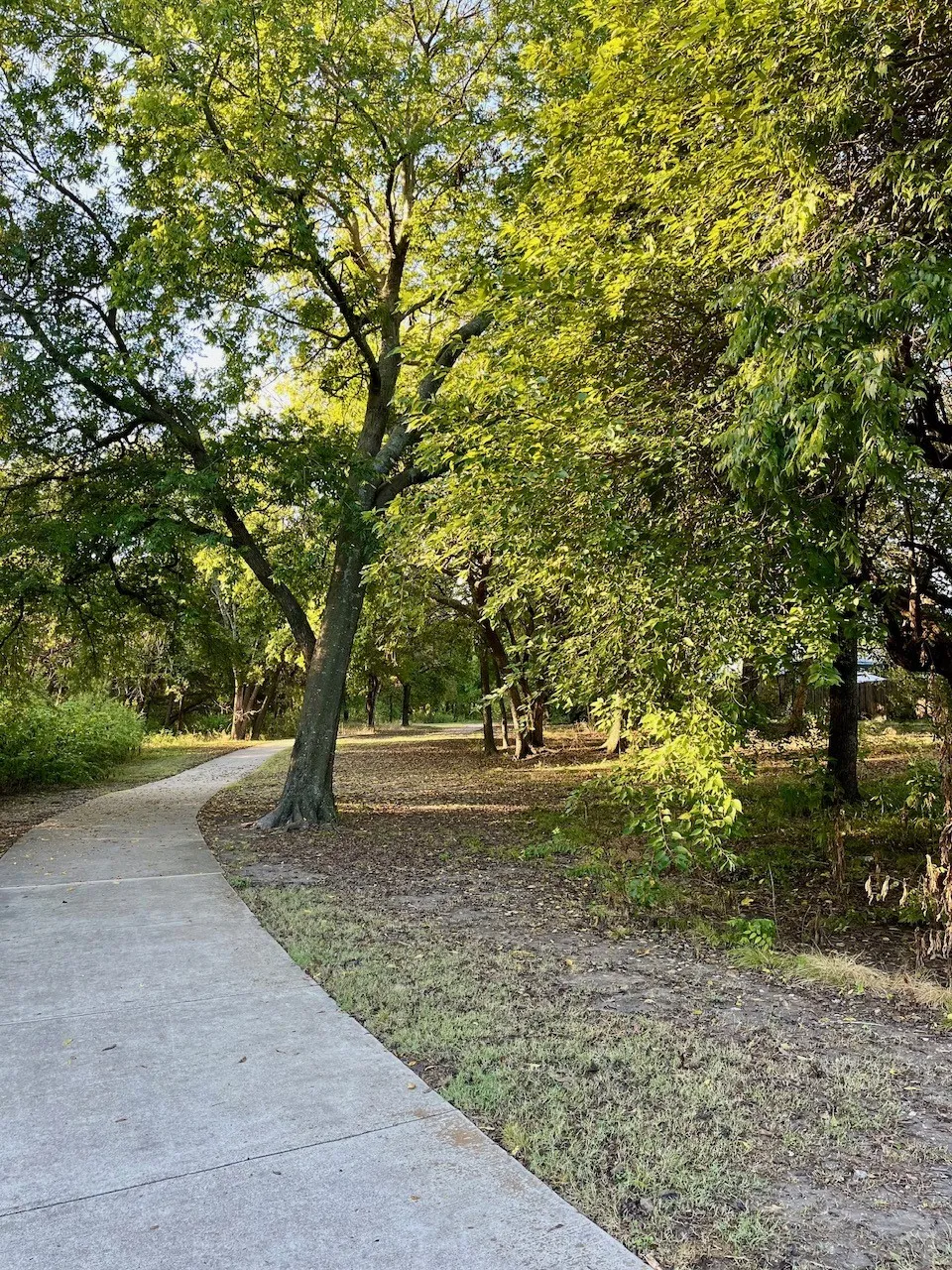 Neighborhood paved pathway bordered by established trees and natural ground cover