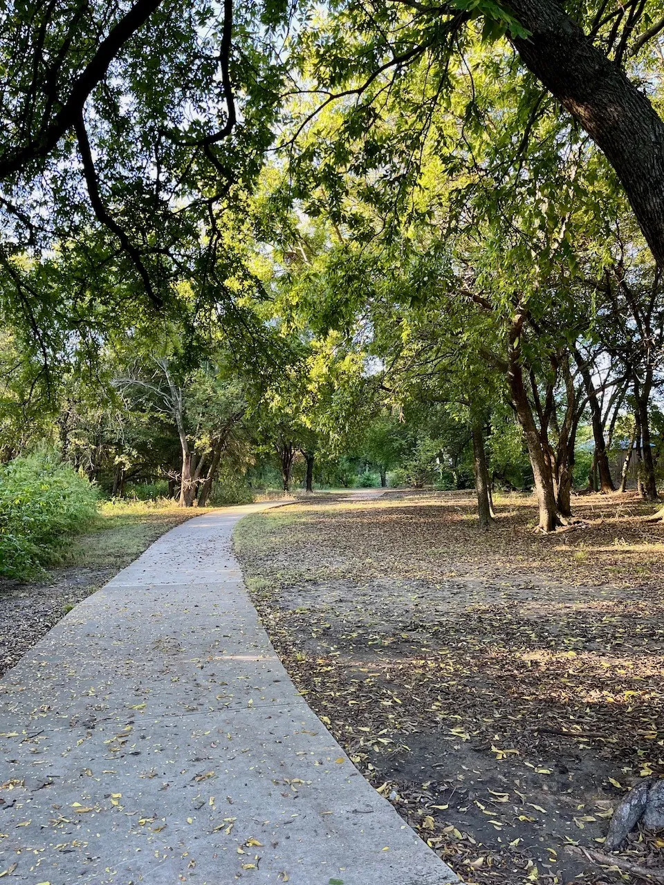 Neighborhood walking trail traversing a wooded setting with mature trees and natural ground cover