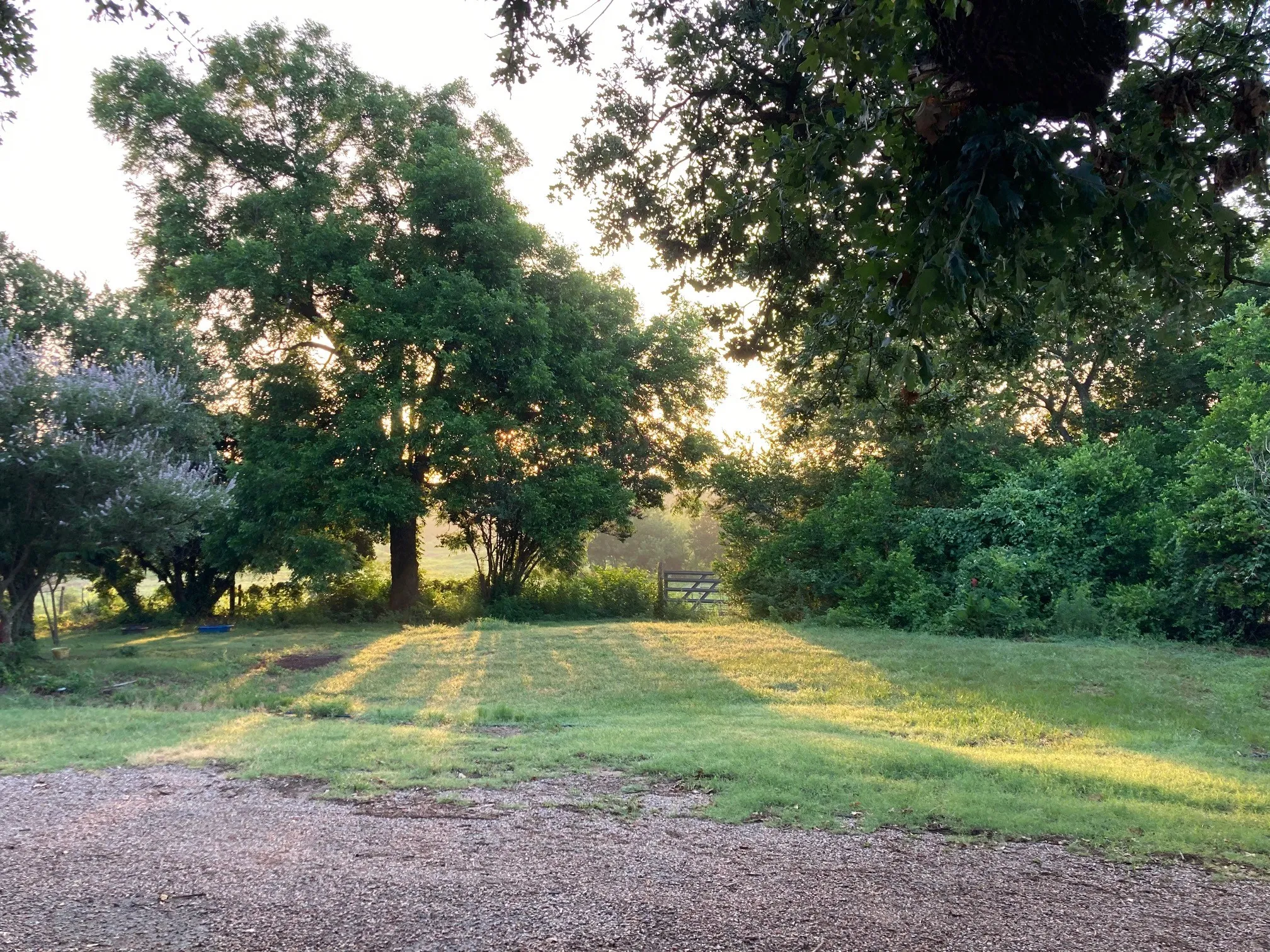 Photo taken months prior to listing