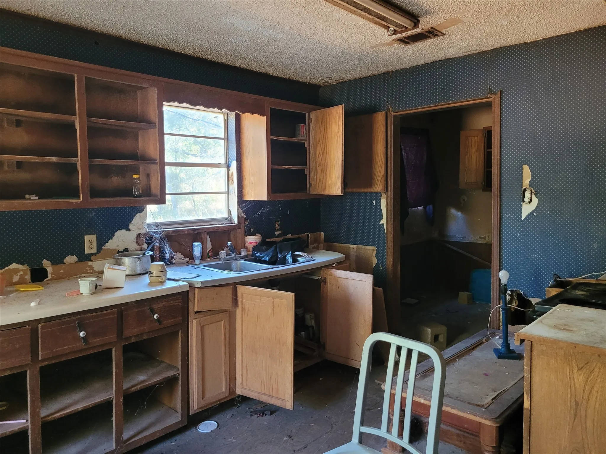 Single Family Residence For Sale in Red River (TX) County , 17109 FM 195, Detroit, Texas 75436, 3 Bedroom, 2 Bathroom, Garage spaces, 1,120 Sqft, built in 1968, mls#21403413, Real Estate Agent in Detroit, Homes For Sale in Red River (TX) county, Homes For Sale in Detroit, Realtor in Detroit Texas, Real Estate Brokerage Independent Realty Texas, Luminita Cordes Realtor