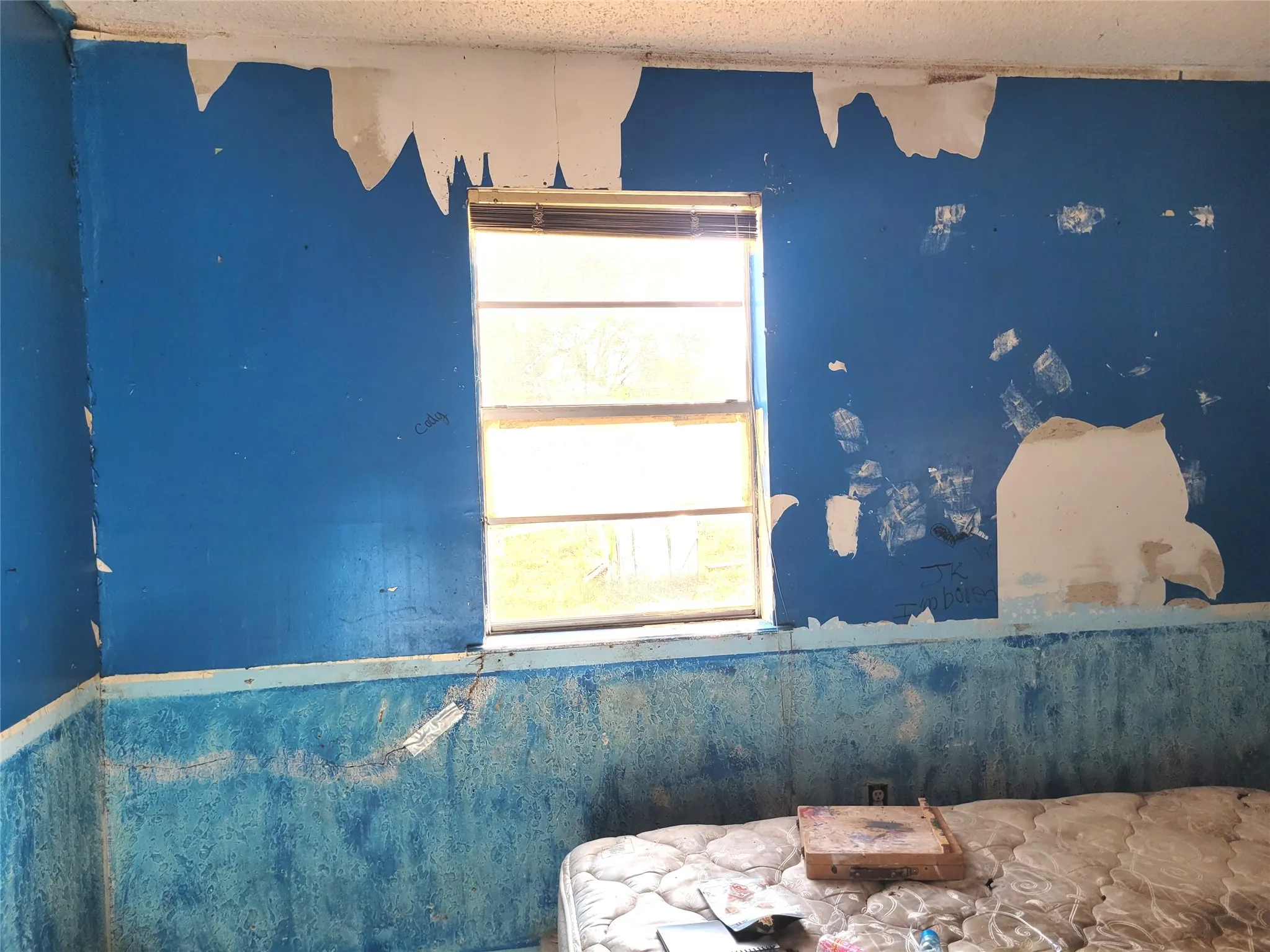 Single Family Residence For Sale in Red River (TX) County , 17109 FM 195, Detroit, Texas 75436, 3 Bedroom, 2 Bathroom, Garage spaces, 1,120 Sqft, built in 1968, mls#21403413, Real Estate Agent in Detroit, Homes For Sale in Red River (TX) county, Homes For Sale in Detroit, Realtor in Detroit Texas, Real Estate Brokerage Independent Realty Texas, Luminita Cordes Realtor