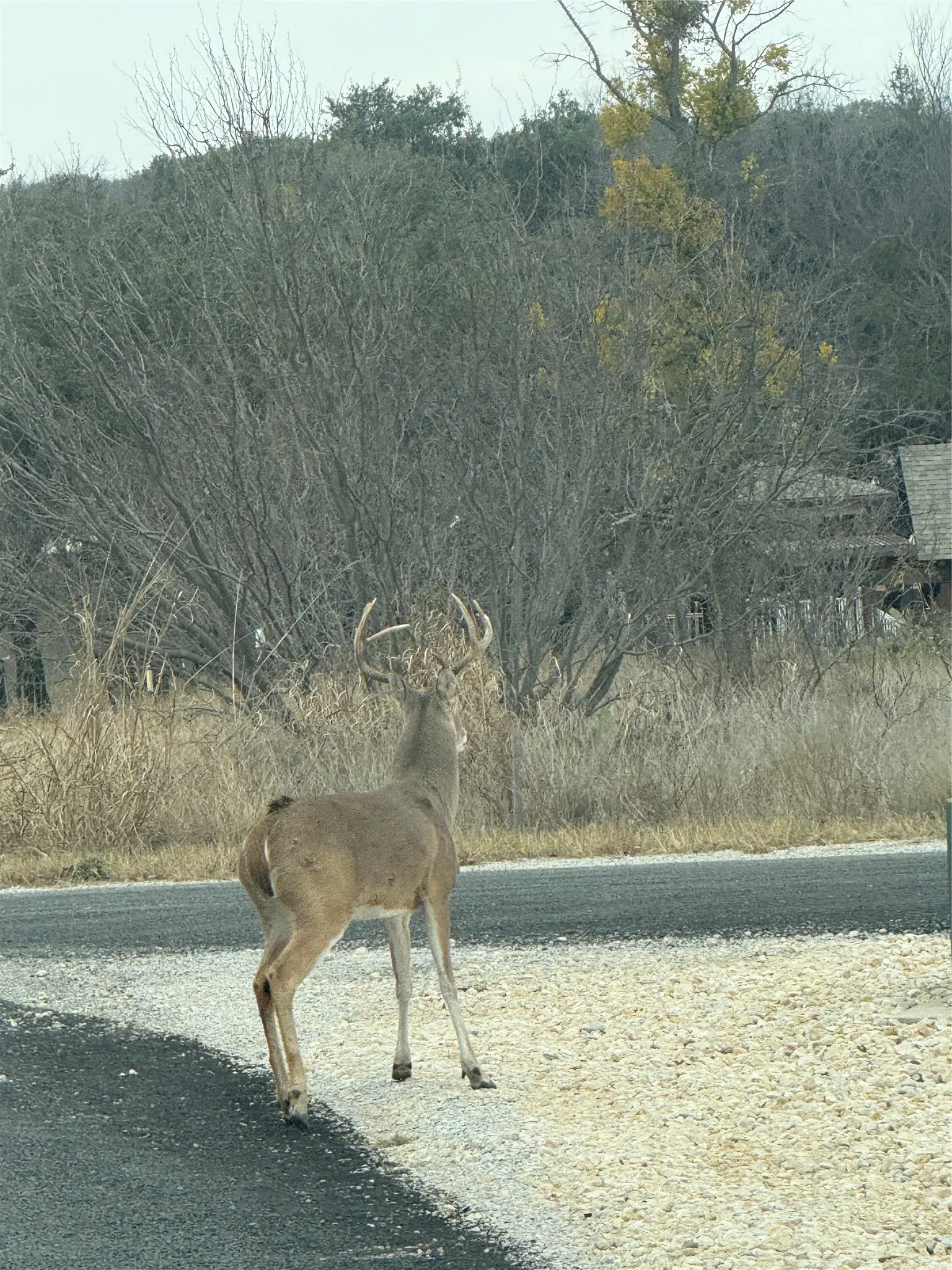 Unimproved Land For Sale in Brown County , TBD 941 Feather Bsy Drive, Brownwood, Texas 76801, 0, 0, Garage spaces, 0 Sqft, built in 0, mls#21389678, Real Estate Agent in Brownwood, Homes For Sale in Brown county, Homes For Sale in Brownwood, Realtor in Brownwood Texas, Real Estate Brokerage Independent Realty Texas, Luminita Cordes Realtor