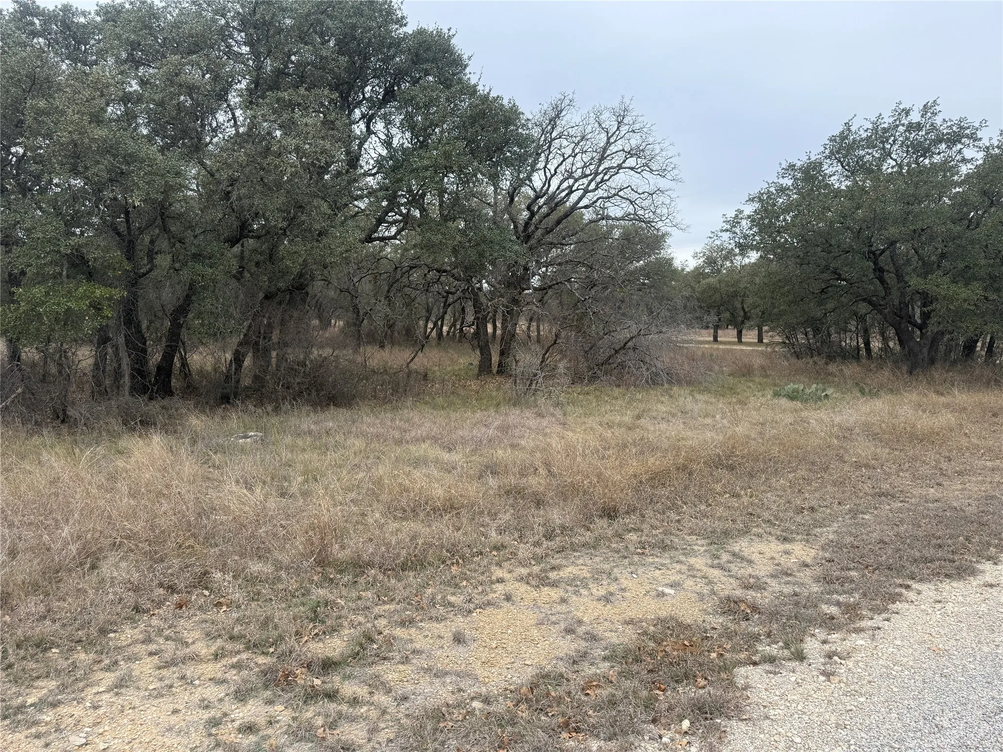 Unimproved Land For Sale in Brown County , TBD 941 Feather Bsy Drive, Brownwood, Texas 76801, 0, 0, Garage spaces, 0 Sqft, built in 0, mls#21389678, Real Estate Agent in Brownwood, Homes For Sale in Brown county, Homes For Sale in Brownwood, Realtor in Brownwood Texas, Real Estate Brokerage Independent Realty Texas, Luminita Cordes Realtor