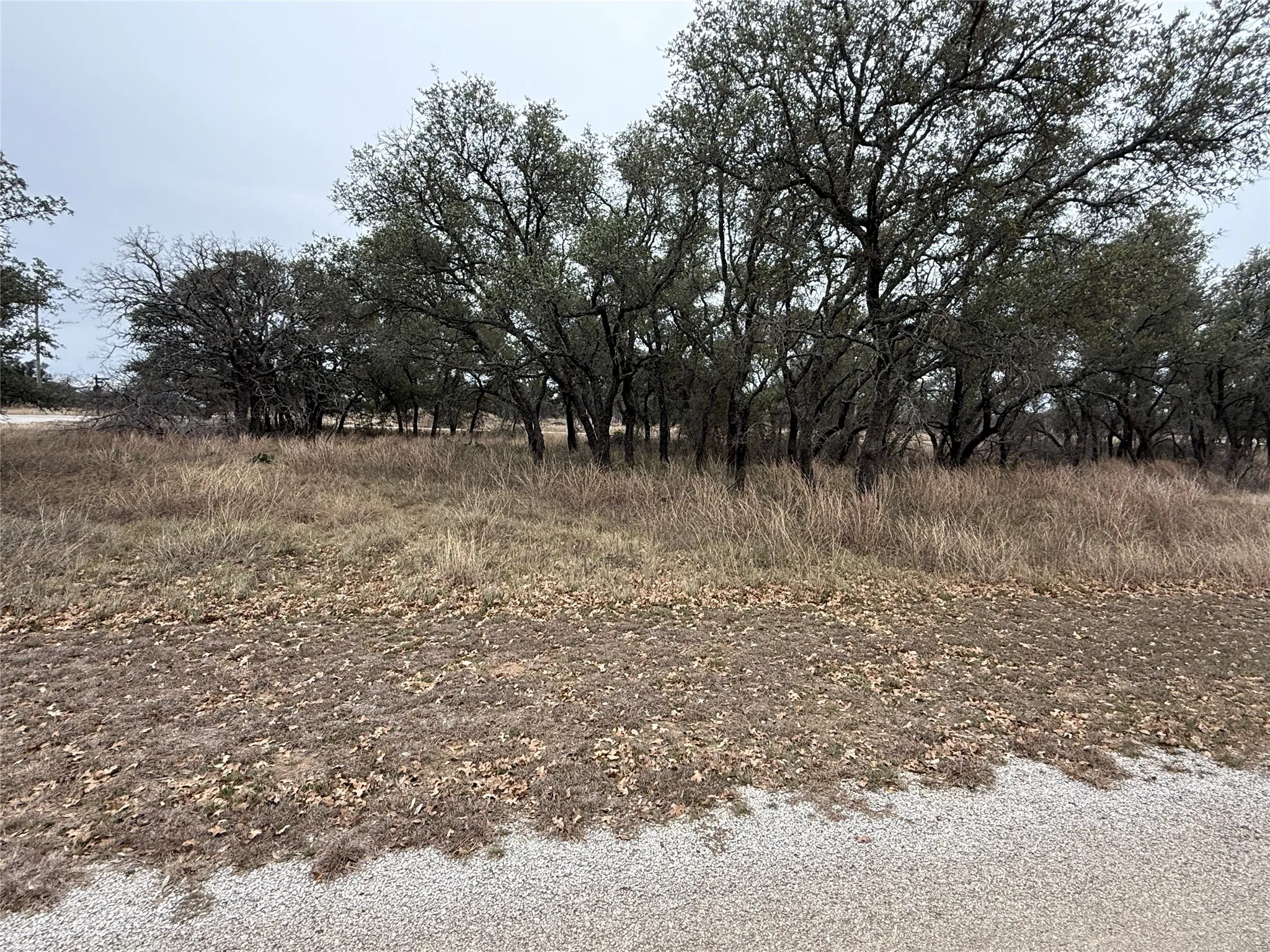 Unimproved Land For Sale in Brown County , TBD 941 Feather Bsy Drive, Brownwood, Texas 76801, 0, 0, Garage spaces, 0 Sqft, built in 0, mls#21389678, Real Estate Agent in Brownwood, Homes For Sale in Brown county, Homes For Sale in Brownwood, Realtor in Brownwood Texas, Real Estate Brokerage Independent Realty Texas, Luminita Cordes Realtor
