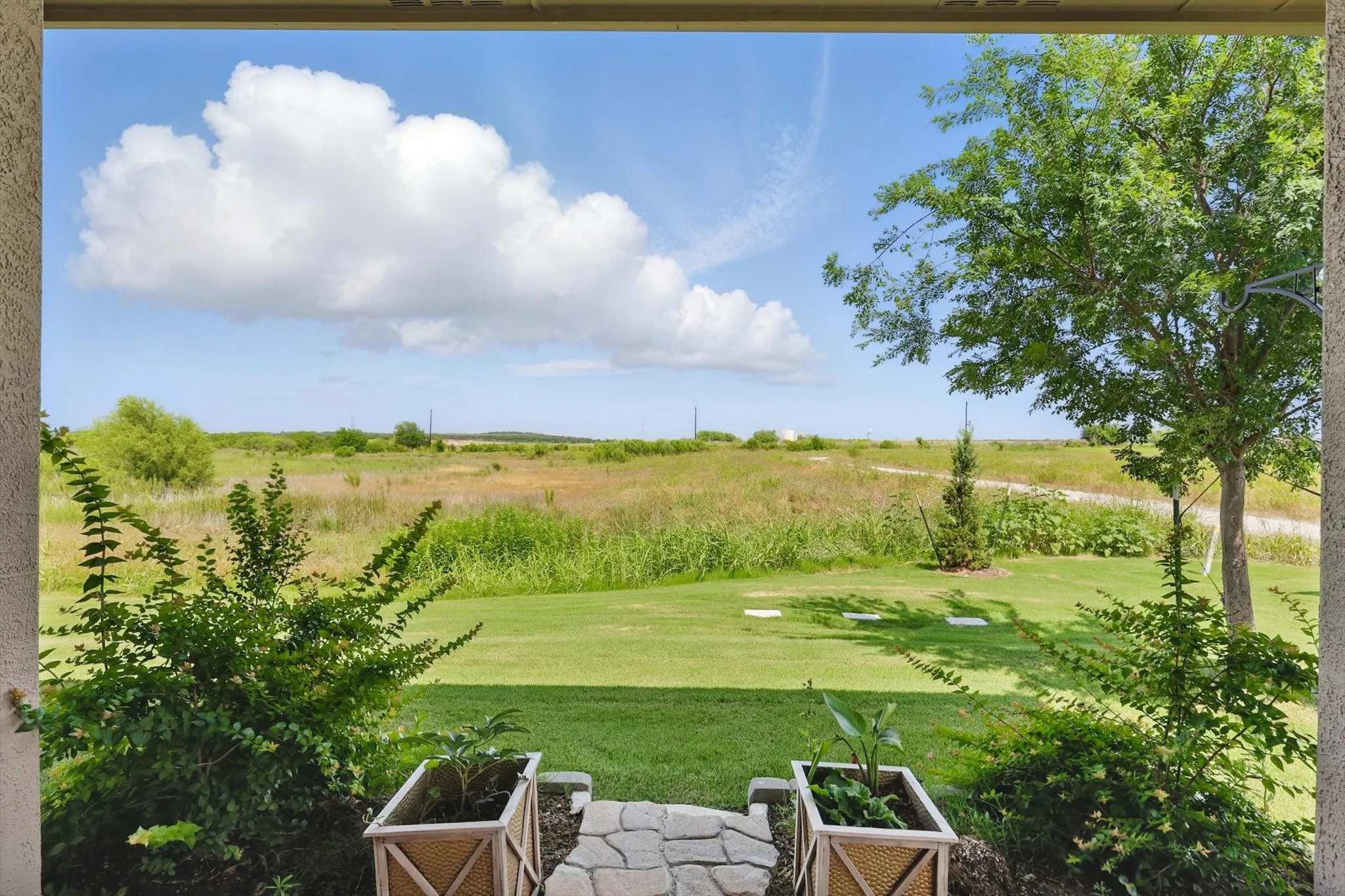 View of grassy yard with no neighbors behind.