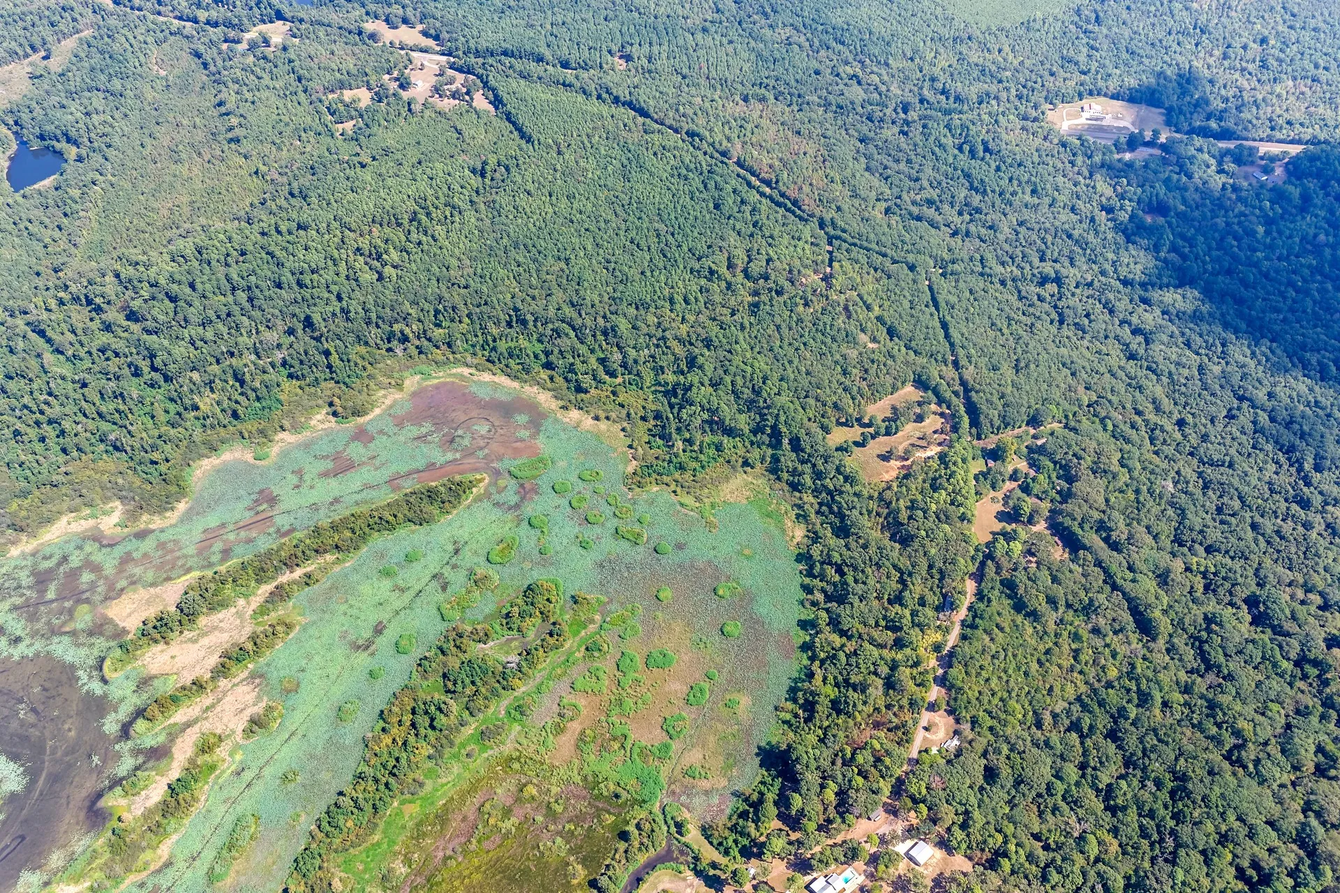 Unimproved Land For Sale in Marion County , TBD WILLOW POINT MARINA RD, Jefferson, Texas 75657, 0, 0, Garage spaces, 0 Sqft, built in 0, mls#21403533, Real Estate Agent in Jefferson, Homes For Sale in Marion county, Homes For Sale in Jefferson, Realtor in Jefferson Texas, Real Estate Brokerage Independent Realty Texas, Luminita Cordes Realtor