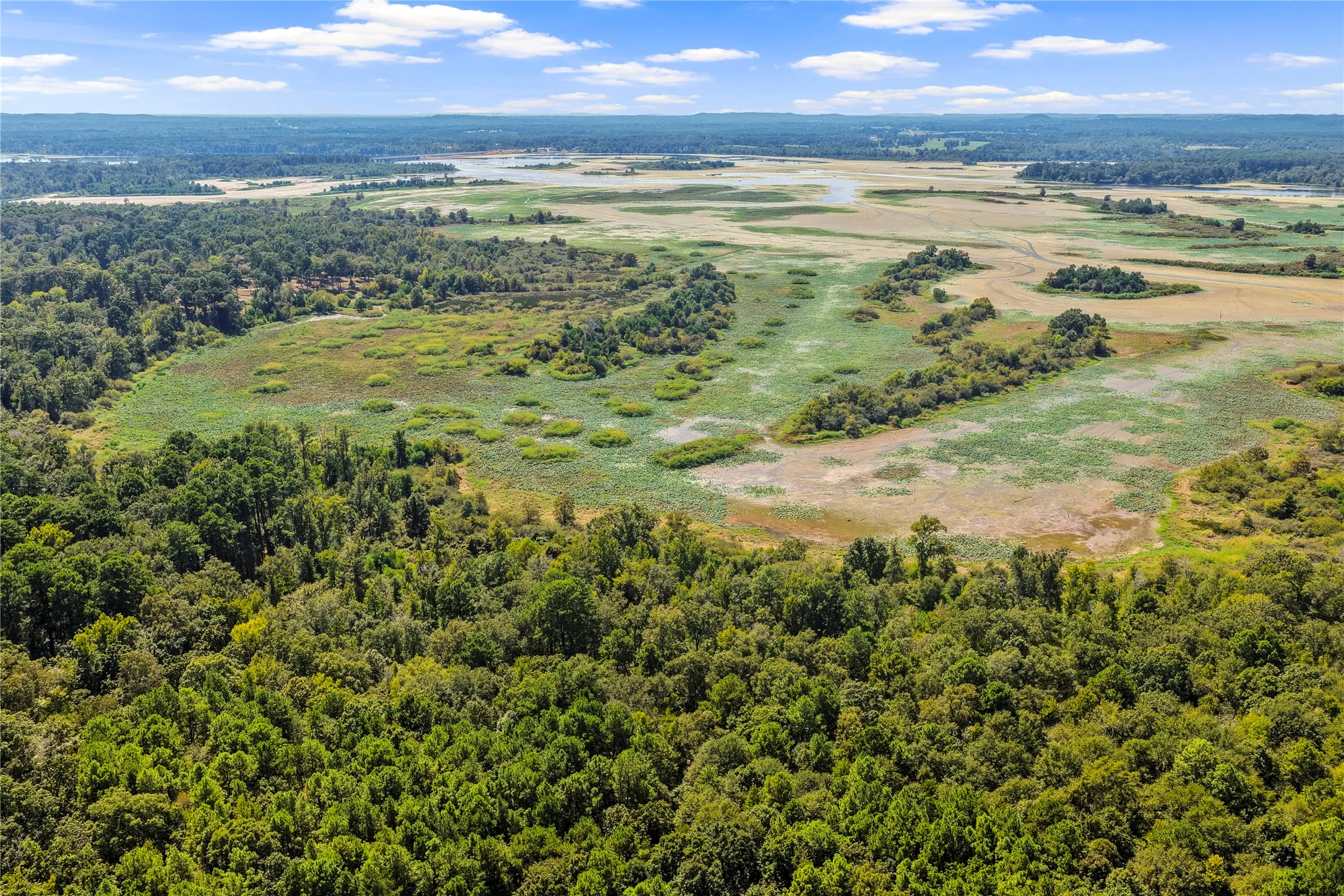 Unimproved Land For Sale in Marion County , TBD WILLOW POINT MARINA RD, Jefferson, Texas 75657, 0, 0, Garage spaces, 0 Sqft, built in 0, mls#21403533, Real Estate Agent in Jefferson, Homes For Sale in Marion county, Homes For Sale in Jefferson, Realtor in Jefferson Texas, Real Estate Brokerage Independent Realty Texas, Luminita Cordes Realtor