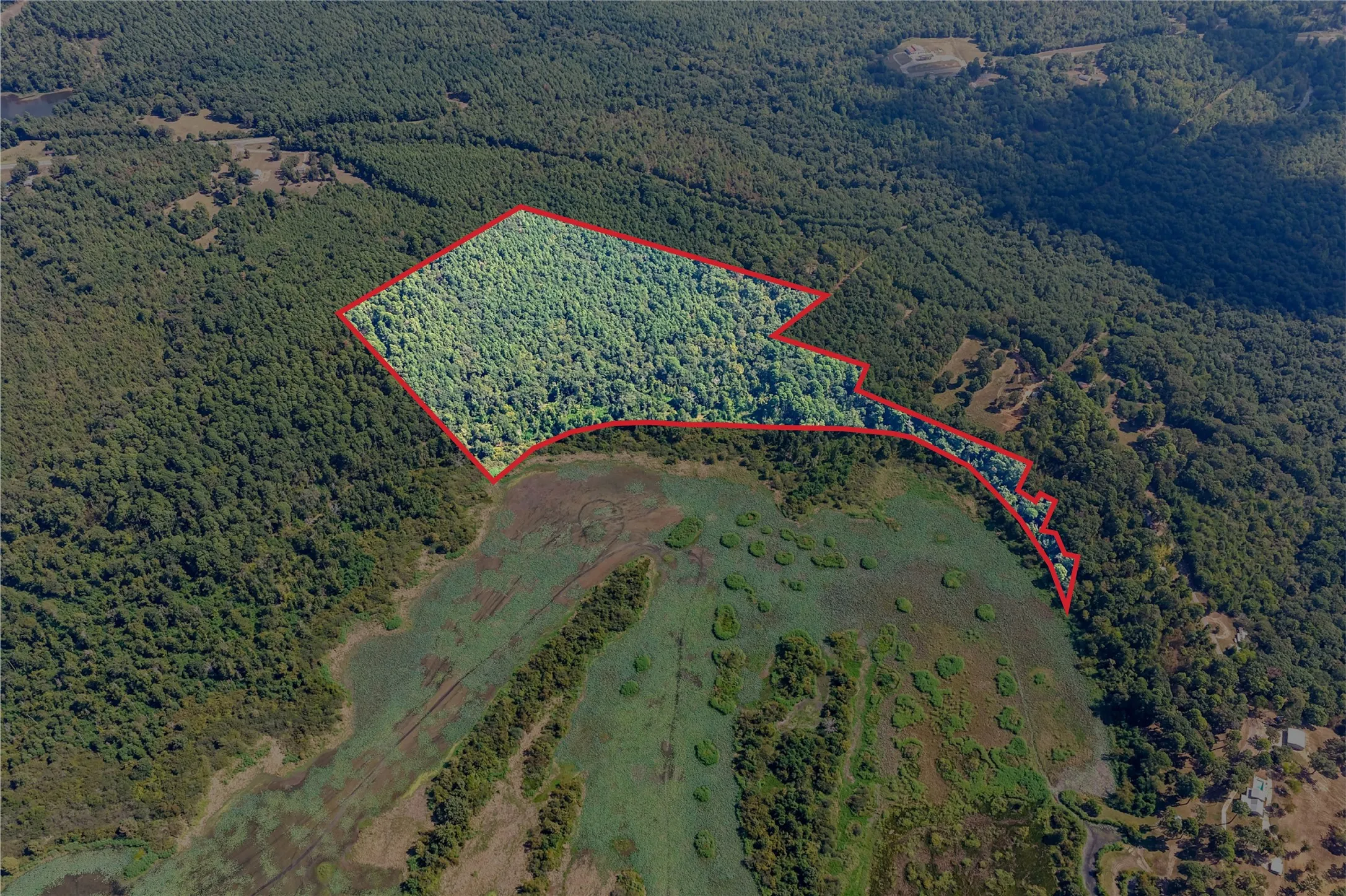 Unimproved Land For Sale in Marion County , TBD WILLOW POINT MARINA RD, Jefferson, Texas 75657, 0, 0, Garage spaces, 0 Sqft, built in 0, mls#21403533, Real Estate Agent in Jefferson, Homes For Sale in Marion county, Homes For Sale in Jefferson, Realtor in Jefferson Texas, Real Estate Brokerage Independent Realty Texas, Luminita Cordes Realtor
