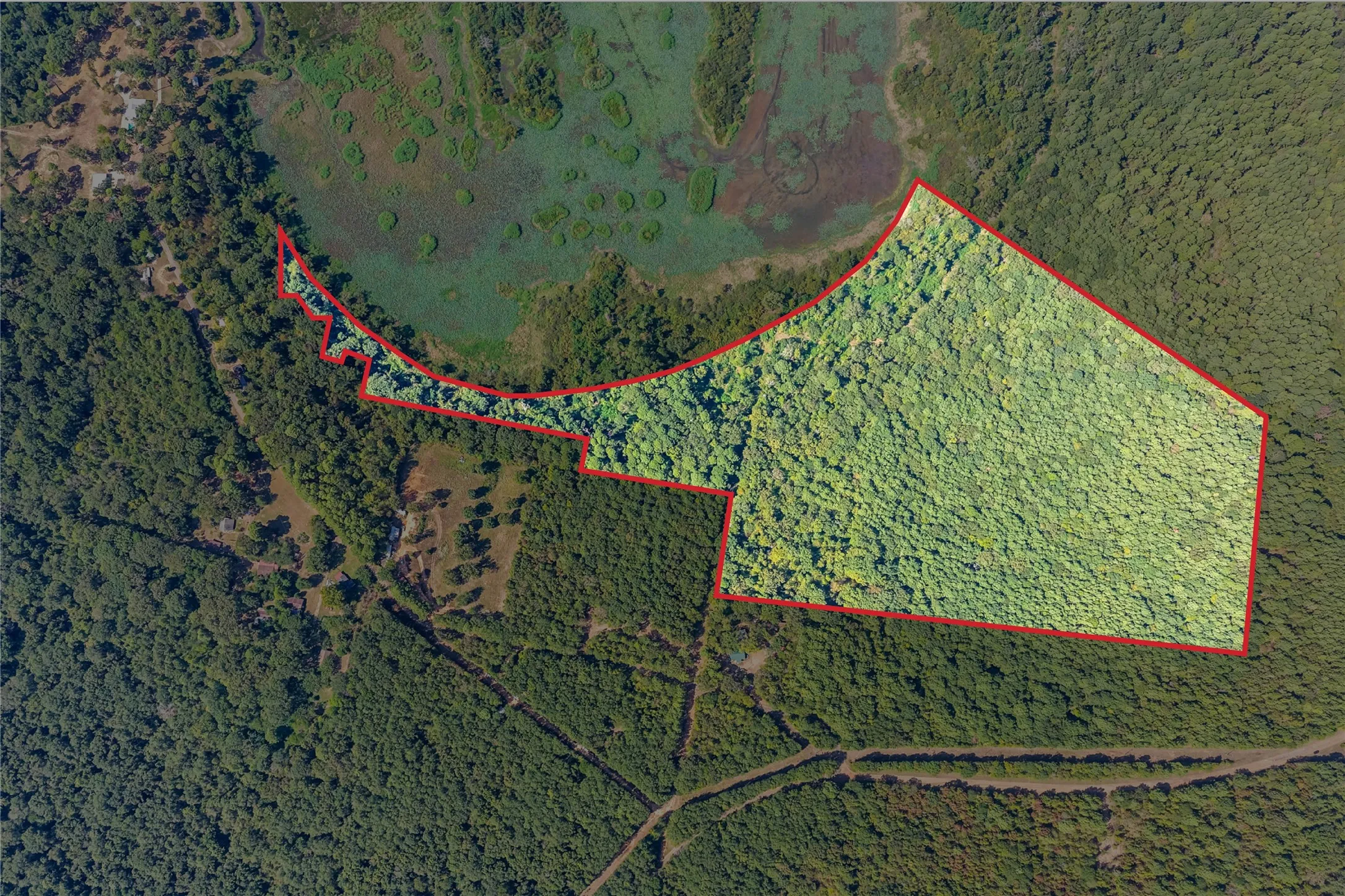 Unimproved Land For Sale in Marion County , TBD WILLOW POINT MARINA RD, Jefferson, Texas 75657, 0, 0, Garage spaces, 0 Sqft, built in 0, mls#21403533, Real Estate Agent in Jefferson, Homes For Sale in Marion county, Homes For Sale in Jefferson, Realtor in Jefferson Texas, Real Estate Brokerage Independent Realty Texas, Luminita Cordes Realtor