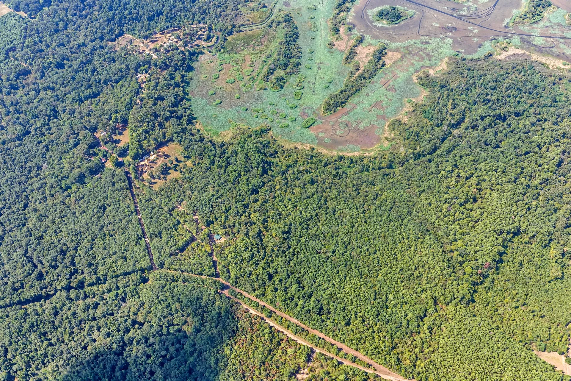 Unimproved Land For Sale in Marion County , TBD WILLOW POINT MARINA RD, Jefferson, Texas 75657, 0, 0, Garage spaces, 0 Sqft, built in 0, mls#21403533, Real Estate Agent in Jefferson, Homes For Sale in Marion county, Homes For Sale in Jefferson, Realtor in Jefferson Texas, Real Estate Brokerage Independent Realty Texas, Luminita Cordes Realtor