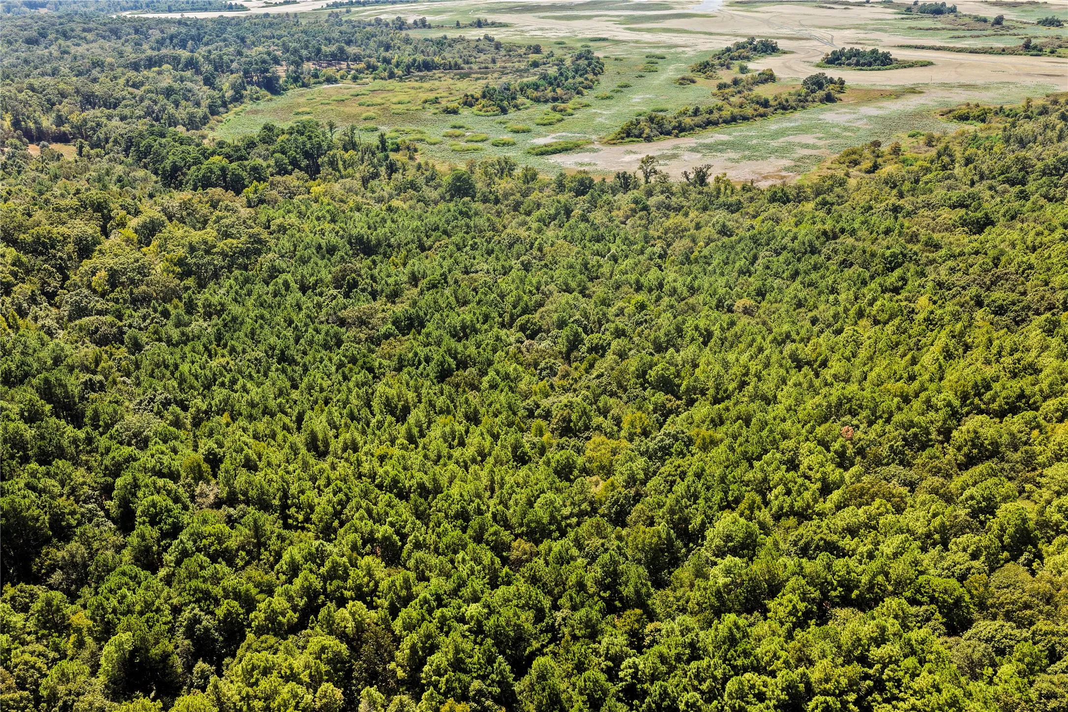 Unimproved Land For Sale in Marion County , TBD WILLOW POINT MARINA RD, Jefferson, Texas 75657, 0, 0, Garage spaces, 0 Sqft, built in 0, mls#21403533, Real Estate Agent in Jefferson, Homes For Sale in Marion county, Homes For Sale in Jefferson, Realtor in Jefferson Texas, Real Estate Brokerage Independent Realty Texas, Luminita Cordes Realtor