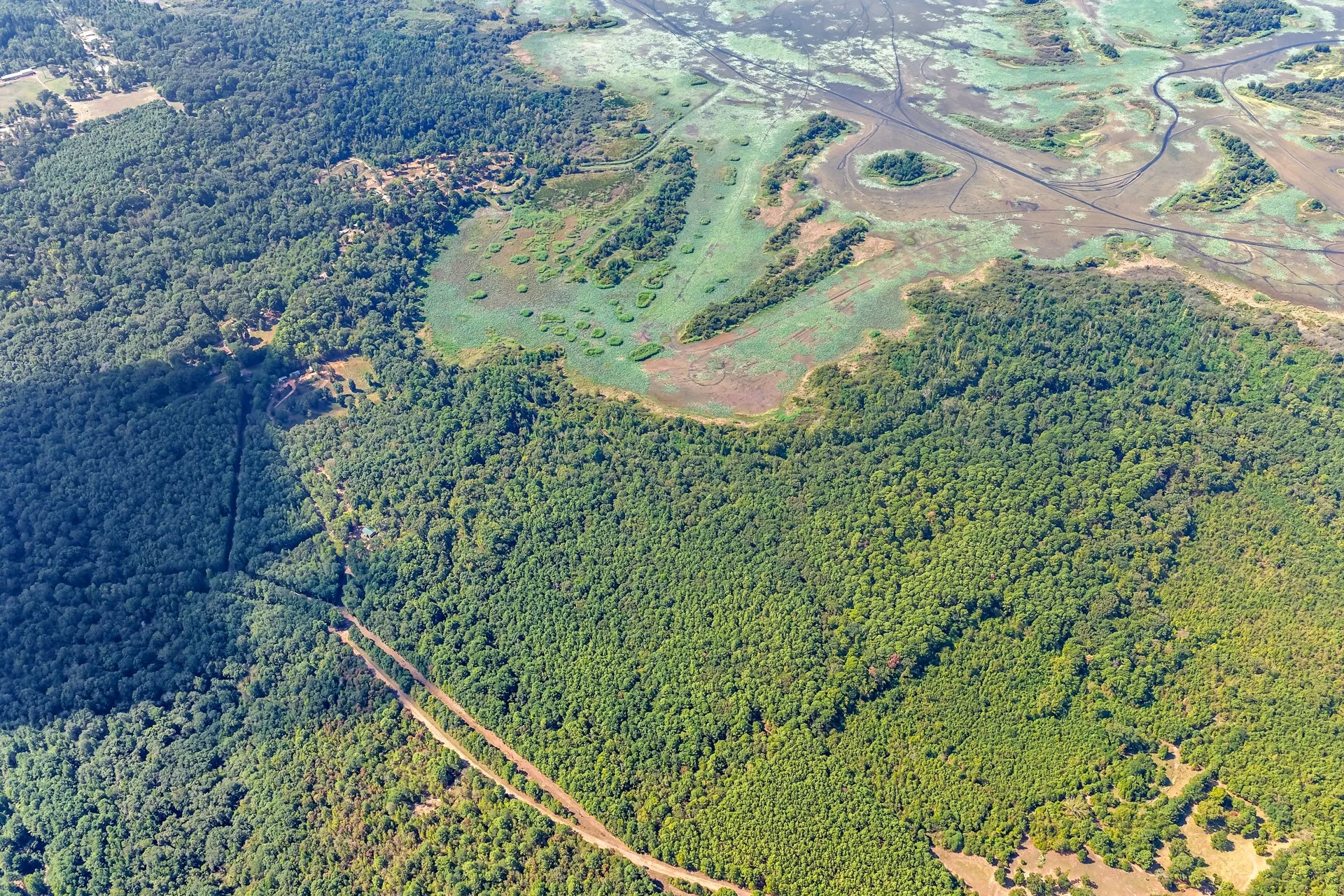 Unimproved Land For Sale in Marion County , TBD WILLOW POINT MARINA RD, Jefferson, Texas 75657, 0, 0, Garage spaces, 0 Sqft, built in 0, mls#21403533, Real Estate Agent in Jefferson, Homes For Sale in Marion county, Homes For Sale in Jefferson, Realtor in Jefferson Texas, Real Estate Brokerage Independent Realty Texas, Luminita Cordes Realtor