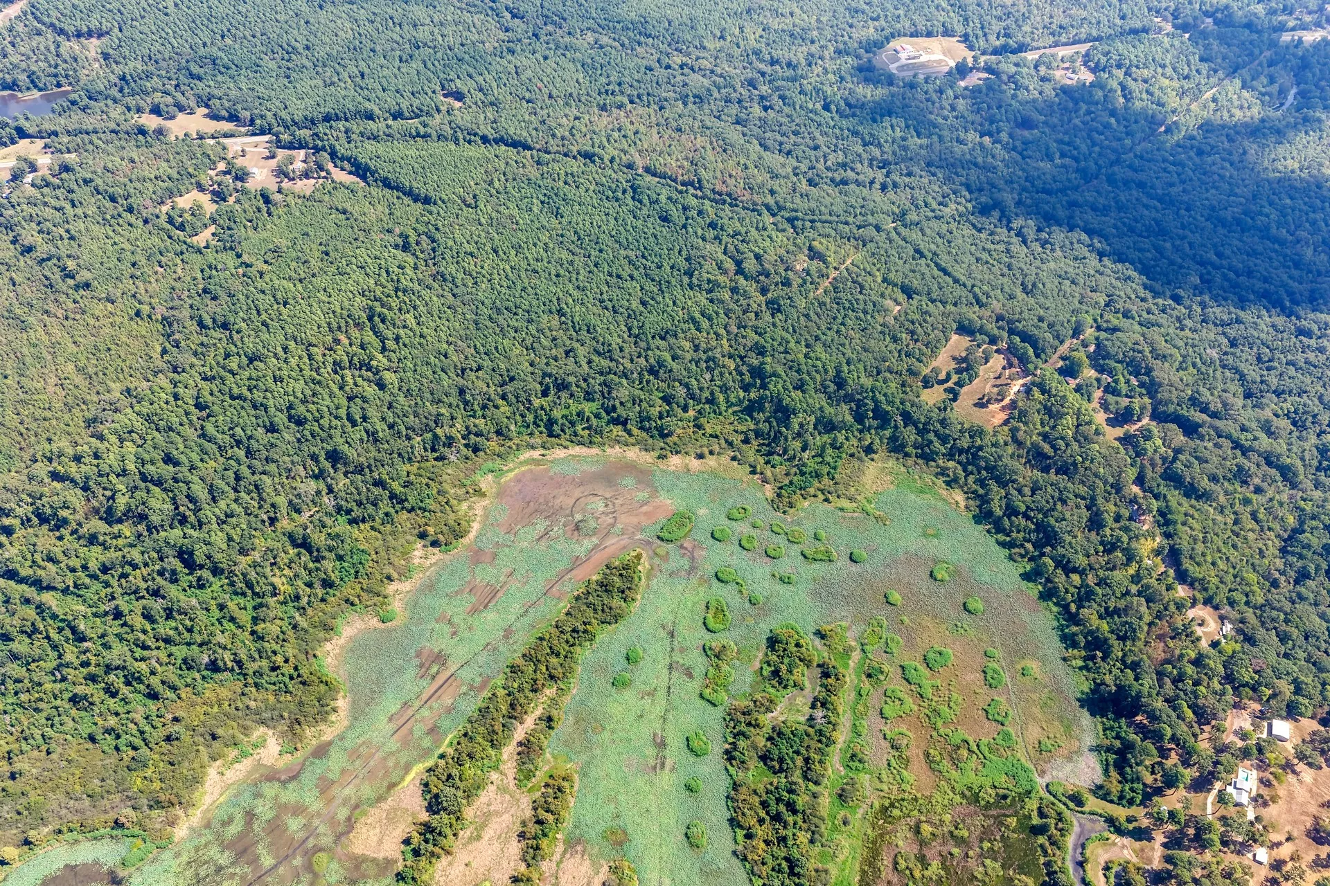 Unimproved Land For Sale in Marion County , TBD WILLOW POINT MARINA RD, Jefferson, Texas 75657, 0, 0, Garage spaces, 0 Sqft, built in 0, mls#21403533, Real Estate Agent in Jefferson, Homes For Sale in Marion county, Homes For Sale in Jefferson, Realtor in Jefferson Texas, Real Estate Brokerage Independent Realty Texas, Luminita Cordes Realtor