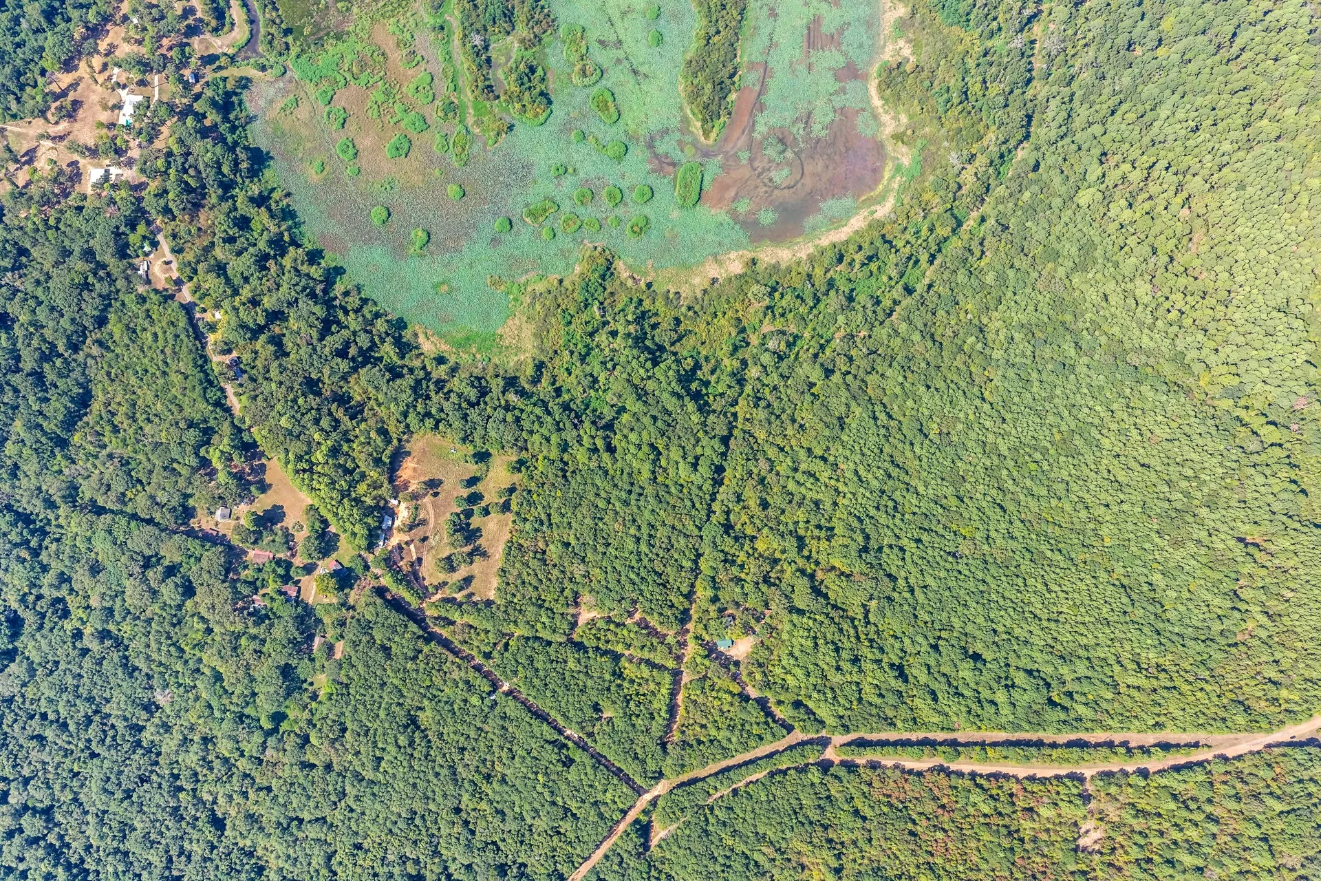Unimproved Land For Sale in Marion County , TBD WILLOW POINT MARINA RD, Jefferson, Texas 75657, 0, 0, Garage spaces, 0 Sqft, built in 0, mls#21403533, Real Estate Agent in Jefferson, Homes For Sale in Marion county, Homes For Sale in Jefferson, Realtor in Jefferson Texas, Real Estate Brokerage Independent Realty Texas, Luminita Cordes Realtor