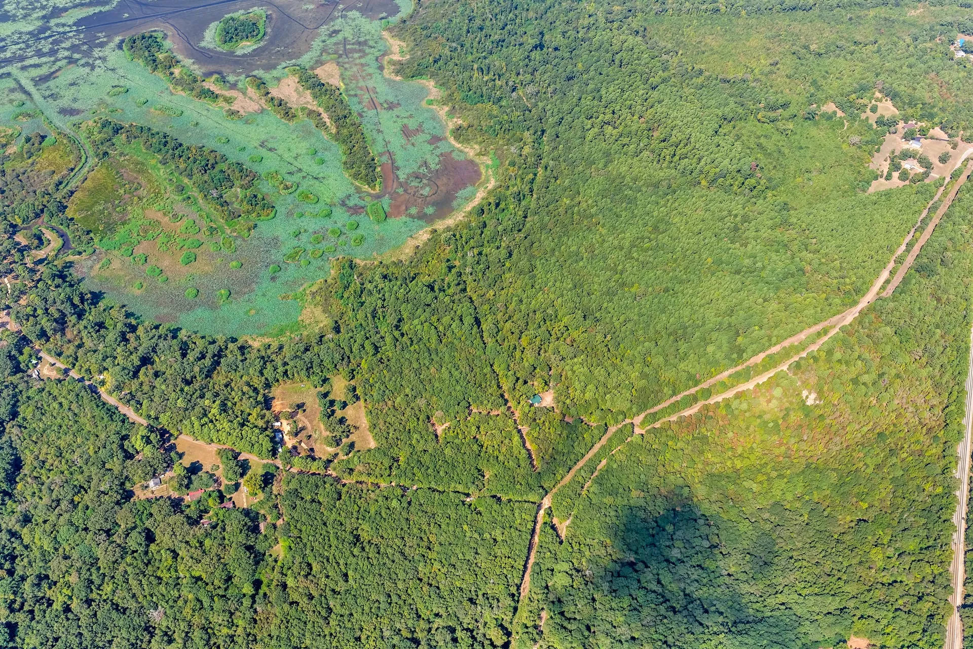 Unimproved Land For Sale in Marion County , TBD WILLOW POINT MARINA RD, Jefferson, Texas 75657, 0, 0, Garage spaces, 0 Sqft, built in 0, mls#21403533, Real Estate Agent in Jefferson, Homes For Sale in Marion county, Homes For Sale in Jefferson, Realtor in Jefferson Texas, Real Estate Brokerage Independent Realty Texas, Luminita Cordes Realtor