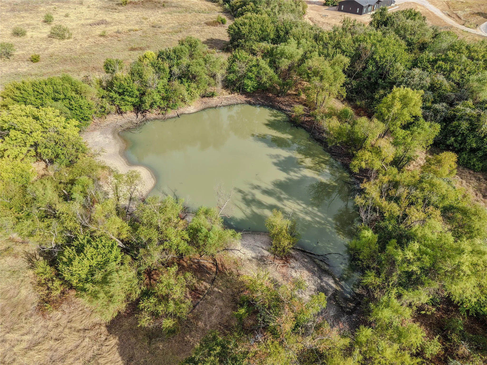 Unimproved Land For Sale in Wise County , 1231 County Road 4280, Decatur, Texas 76234, 0, 0, Garage spaces, 0 Sqft, built in 0, mls#21399683, Real Estate Agent in Decatur, Homes For Sale in Wise county, Homes For Sale in Decatur, Realtor in Decatur Texas, Real Estate Brokerage Independent Realty Texas, Luminita Cordes Realtor