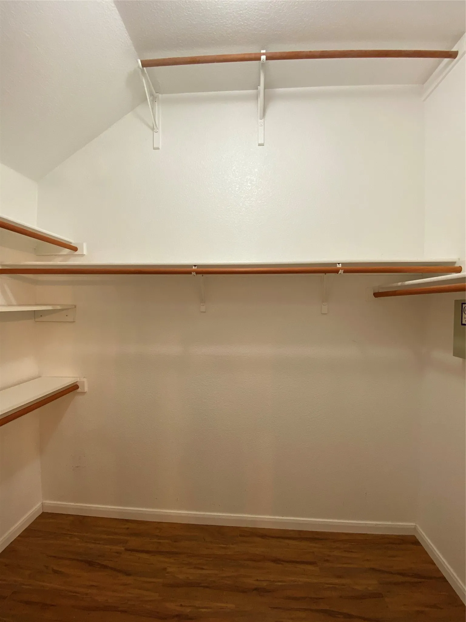 Walk in closet with vaulted ceiling and dark wood-type flooring