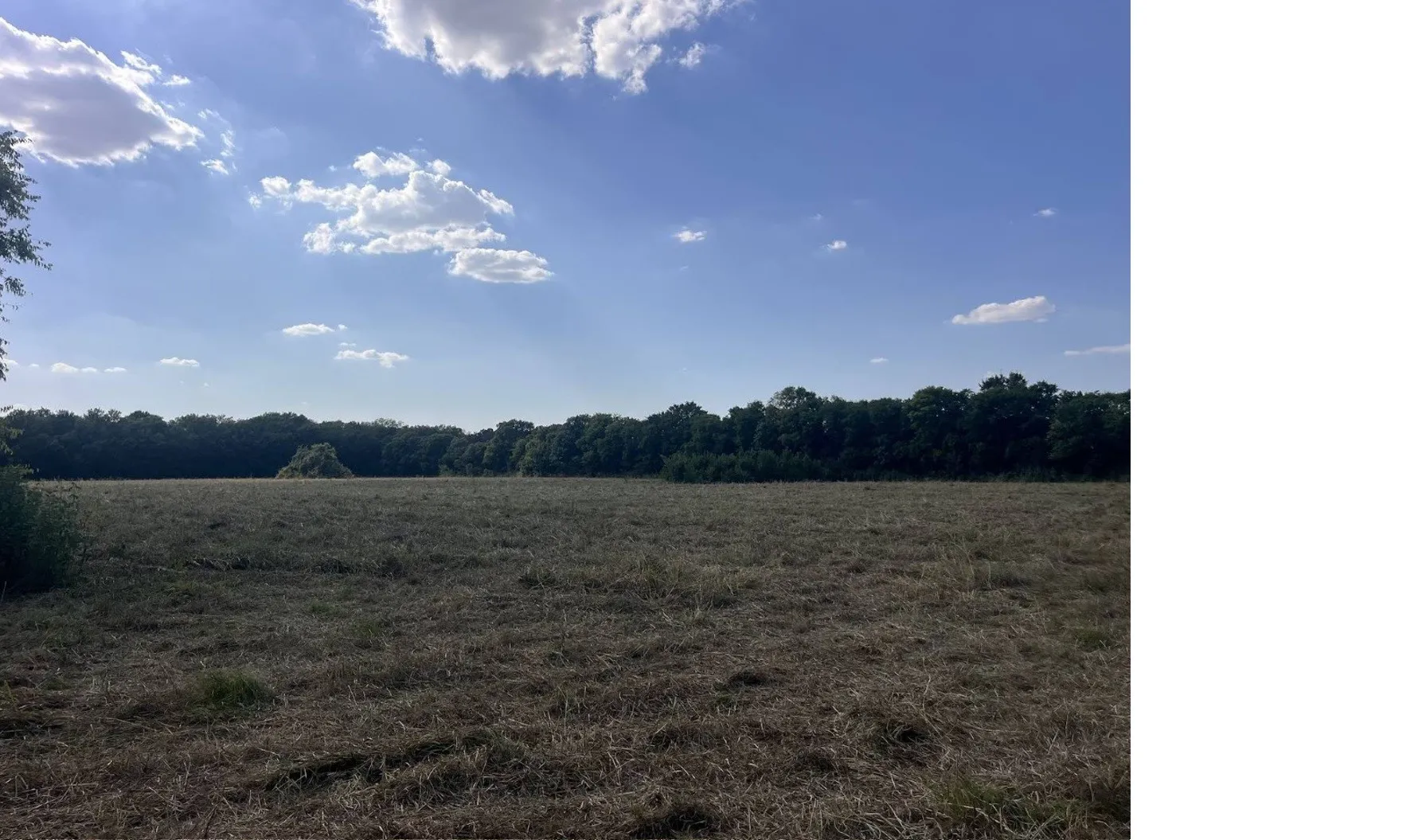 Unimproved Land For Sale in Dallas County , 2101 Wilkinson Road, Mesquite, Texas 75181, 0, 0, Garage spaces, 0 Sqft, built in 0, mls#21403651, Real Estate Agent in Mesquite, Homes For Sale in Dallas county, Homes For Sale in Mesquite, Realtor in Mesquite Texas, Real Estate Brokerage Independent Realty Texas, Luminita Cordes Realtor