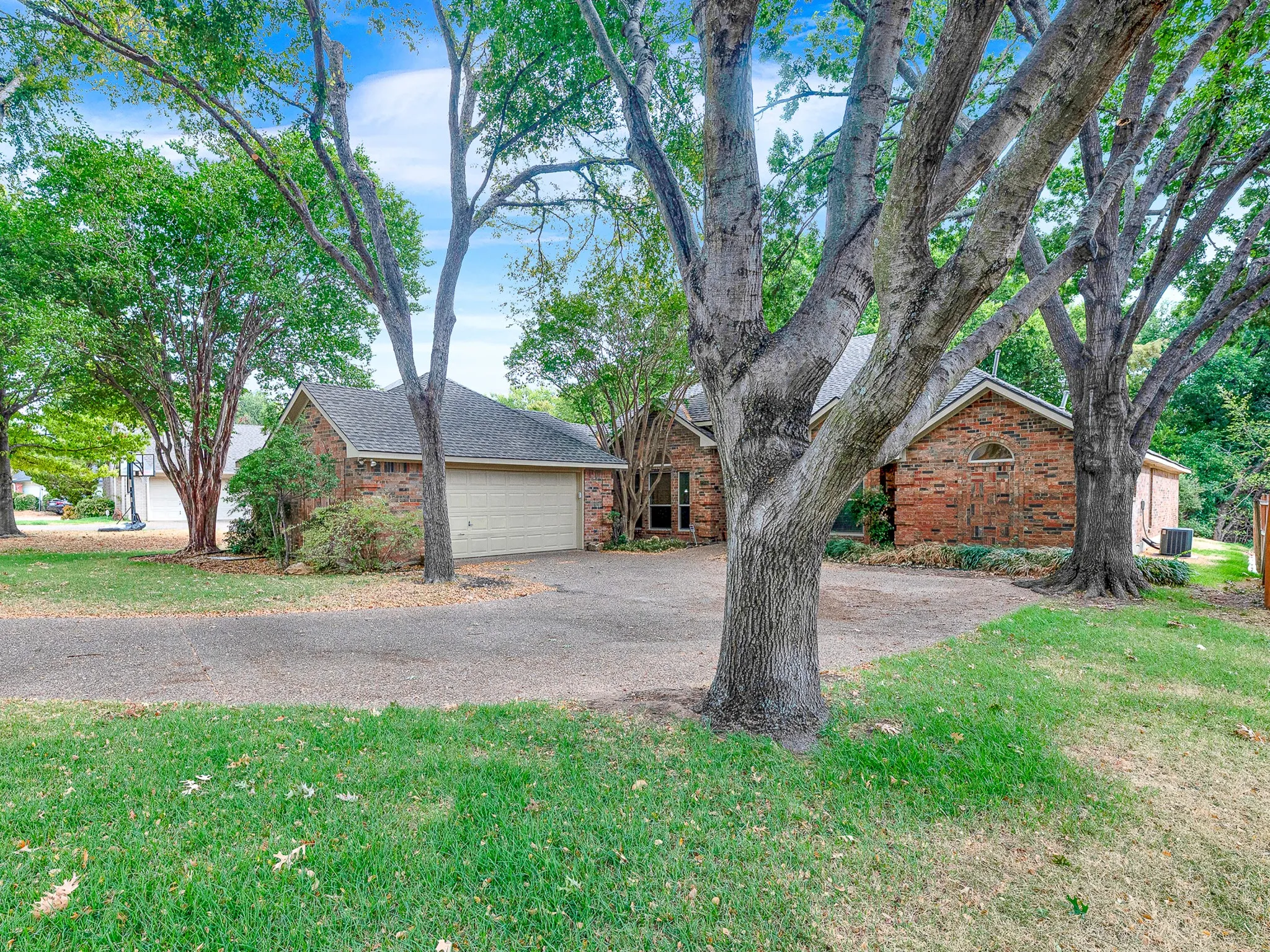 Side view of long driveway, mature trees, and large lot