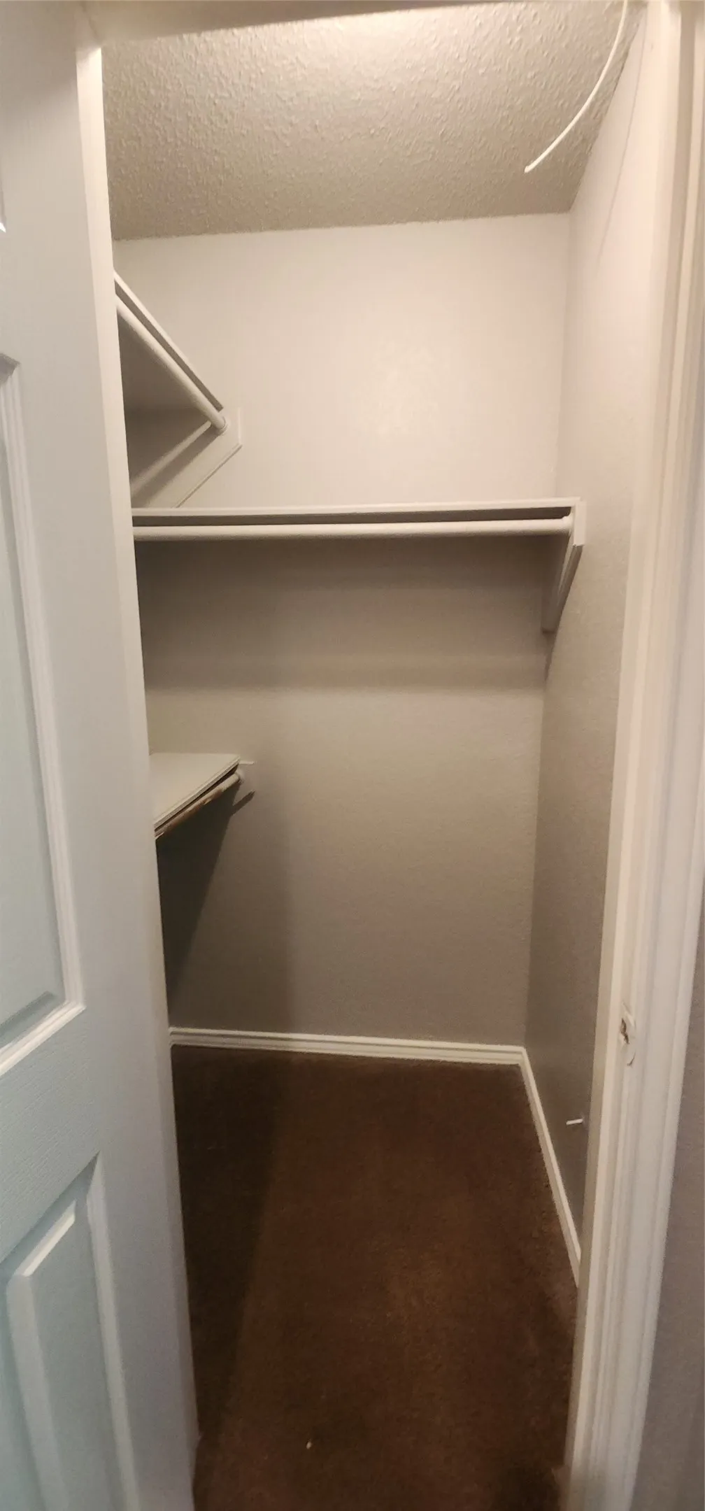 Built-in shelving and clothing rod within a carpeted closet