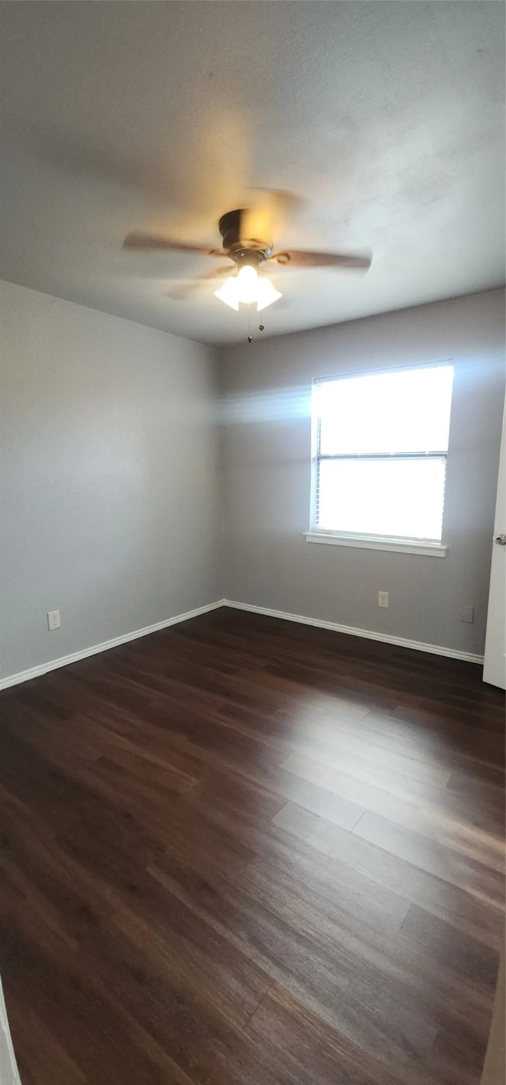 Wood-finish flooring with light gray walls, a ceiling fan with integrated lighting, and a white-framed window