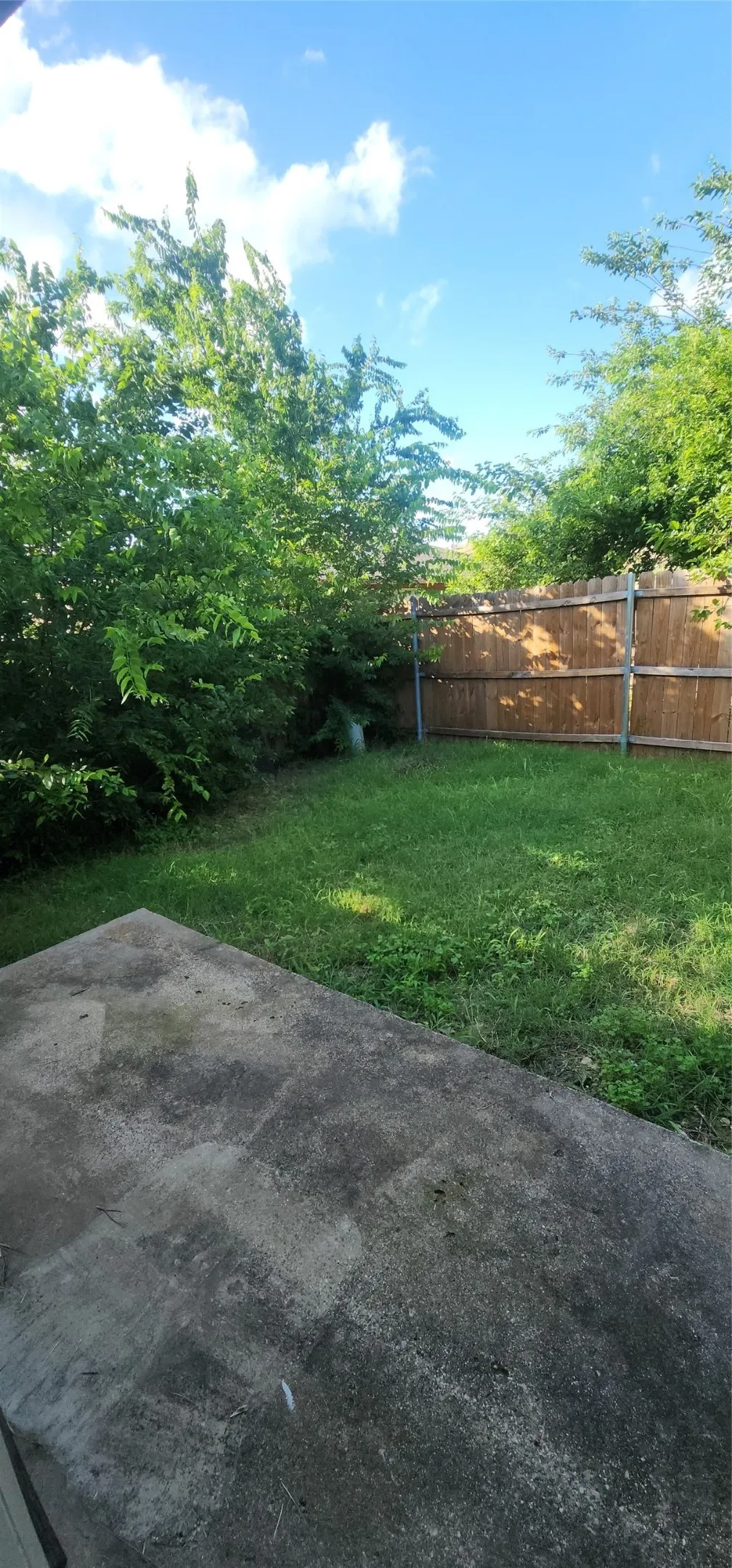 Concrete patio with an adjacent grass area, bordered by a wood fence and mature trees