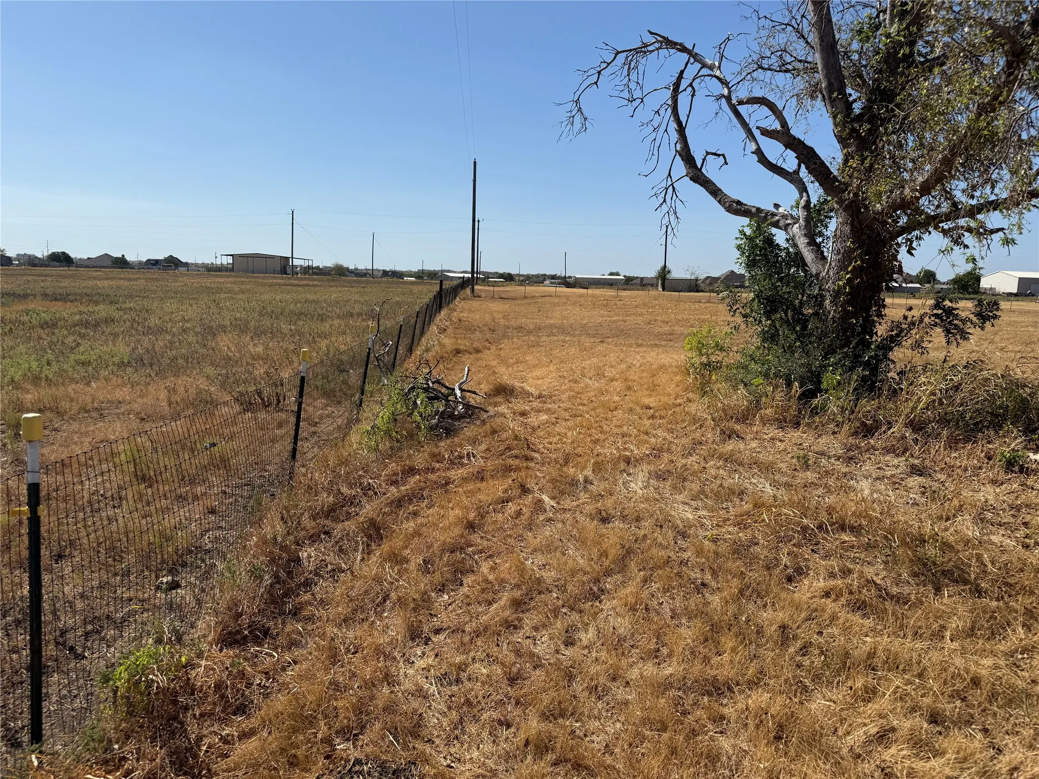 Expansive open land featuring a wire fence, mature tree with established foliage, and clear skies