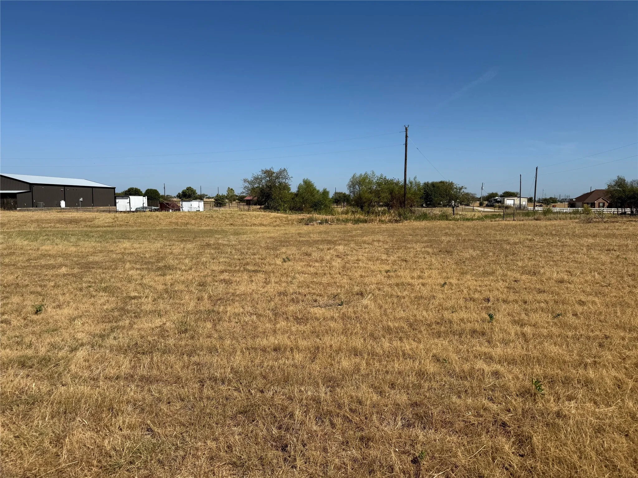 Expansive open field with scattered dry vegetation and clear sky