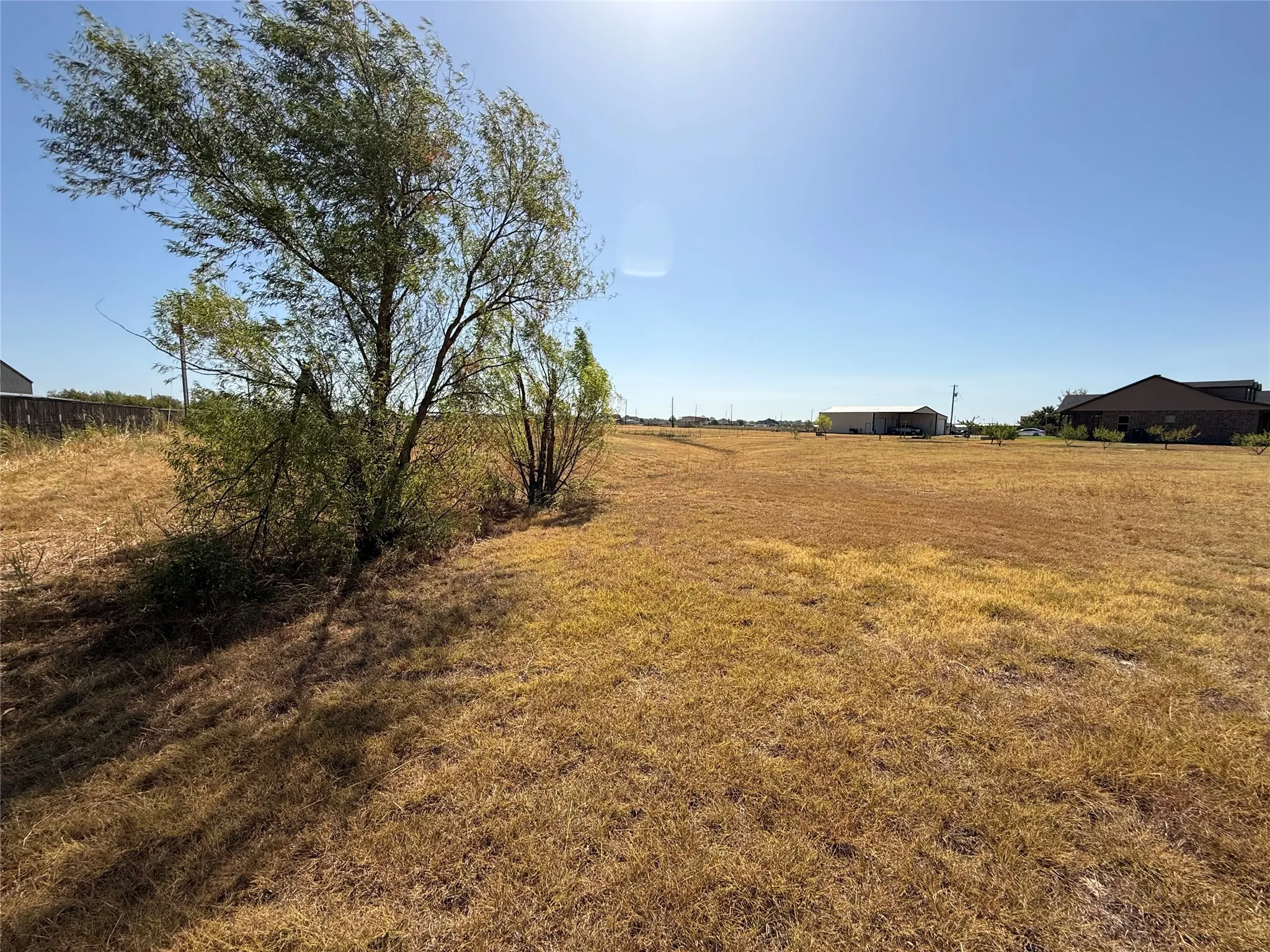Expansive undeveloped lot with existing mature trees and clear sky