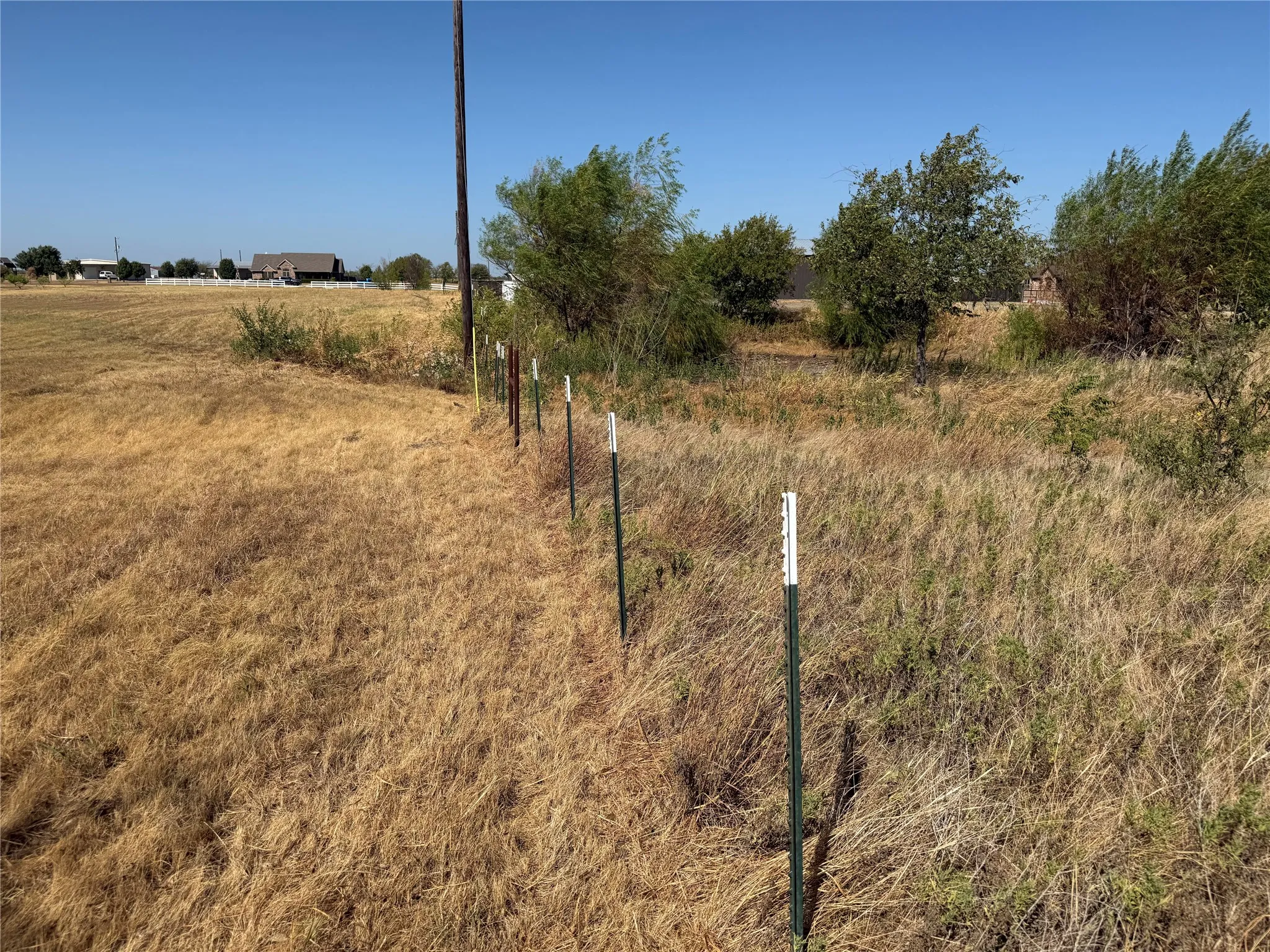 Expansive land parcel featuring a perimeter fence line and established trees