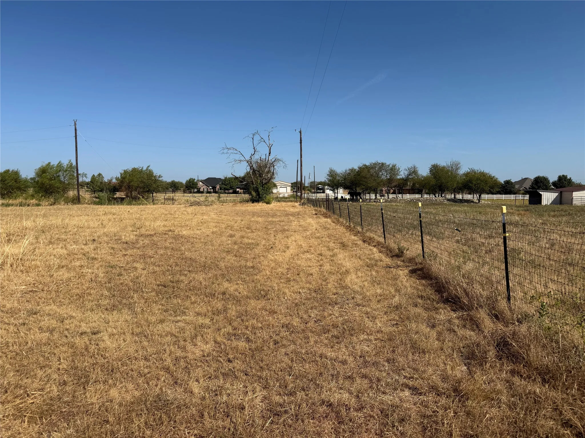 Expansive undeveloped land featuring a wire fence and mature trees
