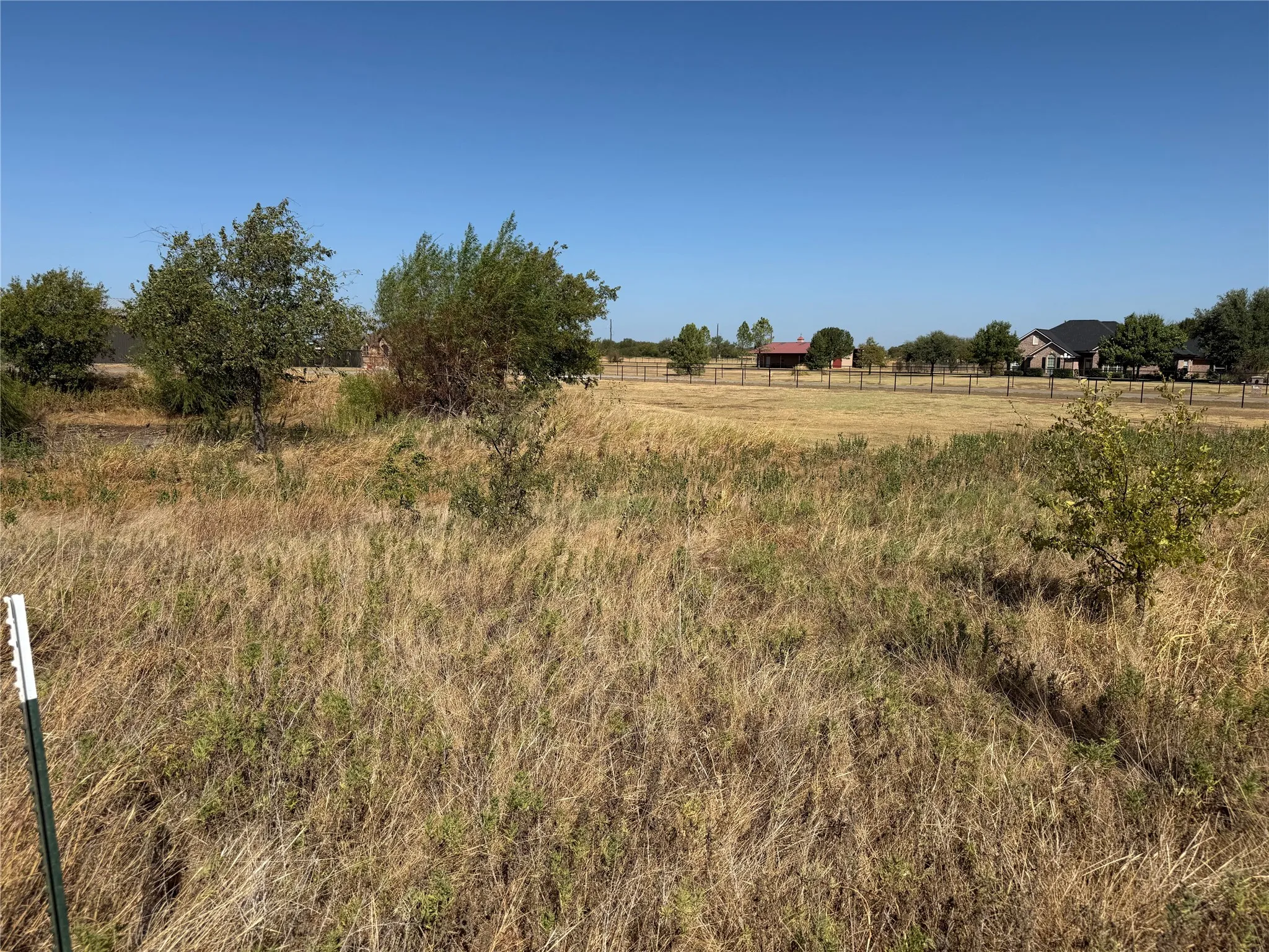 Expansive open land featuring natural grasses and scattered trees
