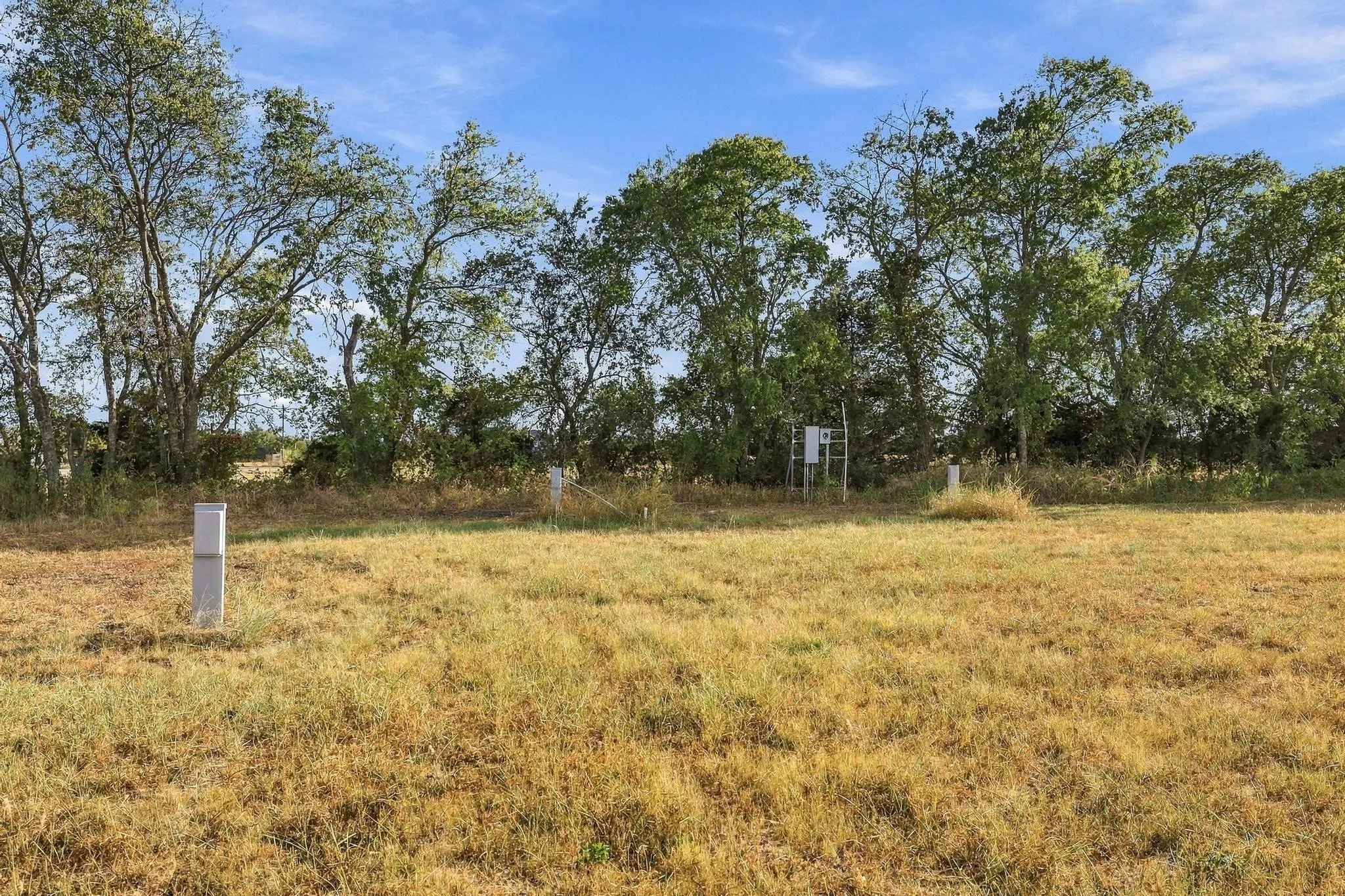 Expansive land lot featuring mature trees along the perimeter