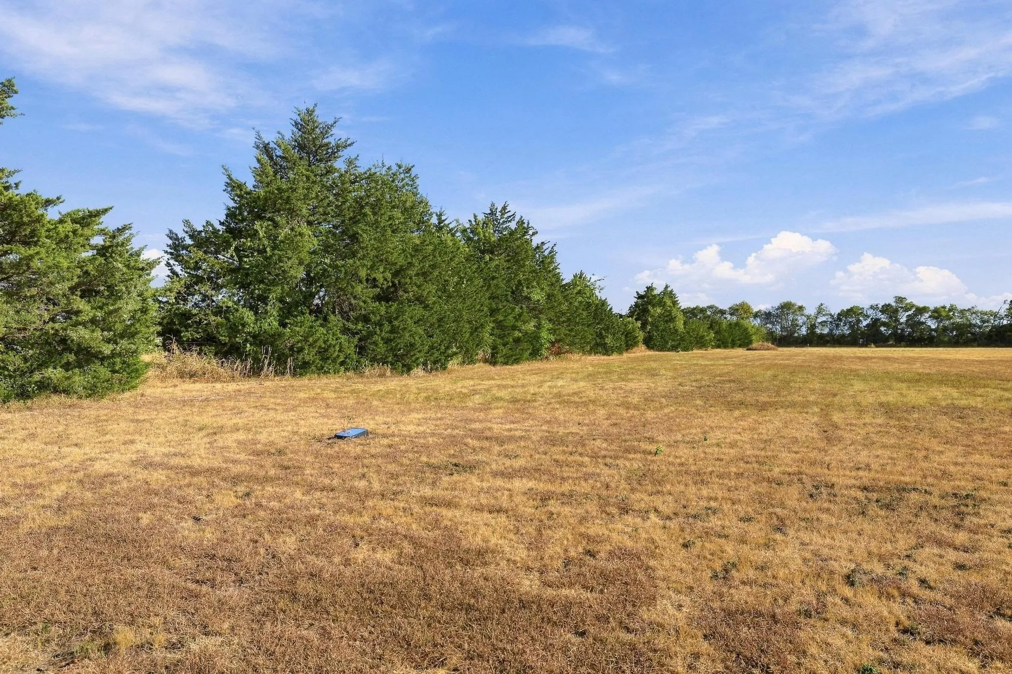 Expansive undeveloped property with natural tree lines