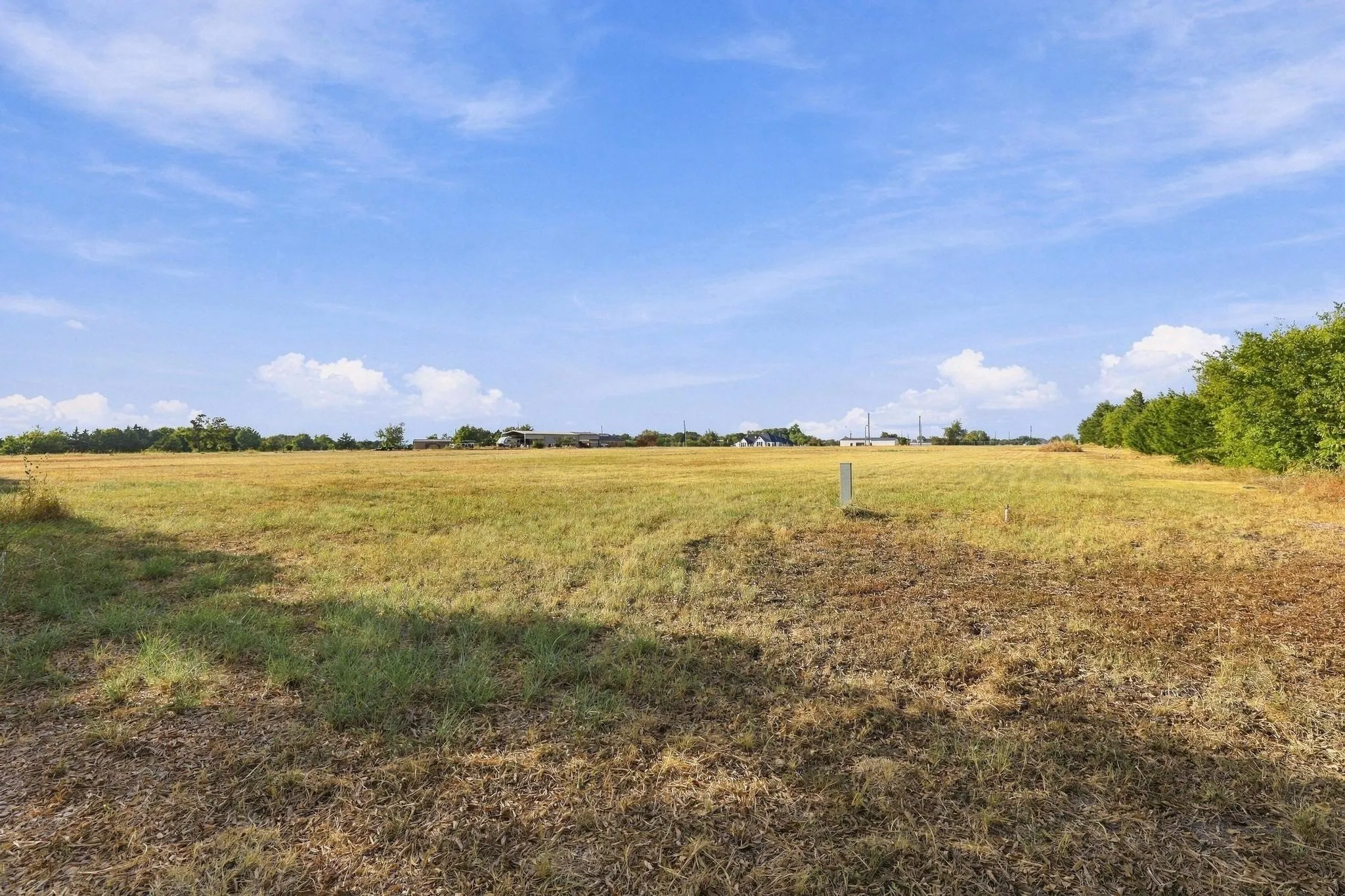 Expansive open field with natural vegetation and mature perimeter trees