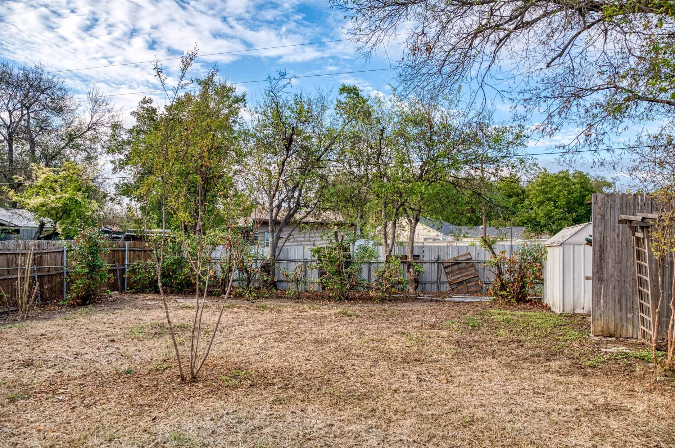 Yard with a storage building on the right