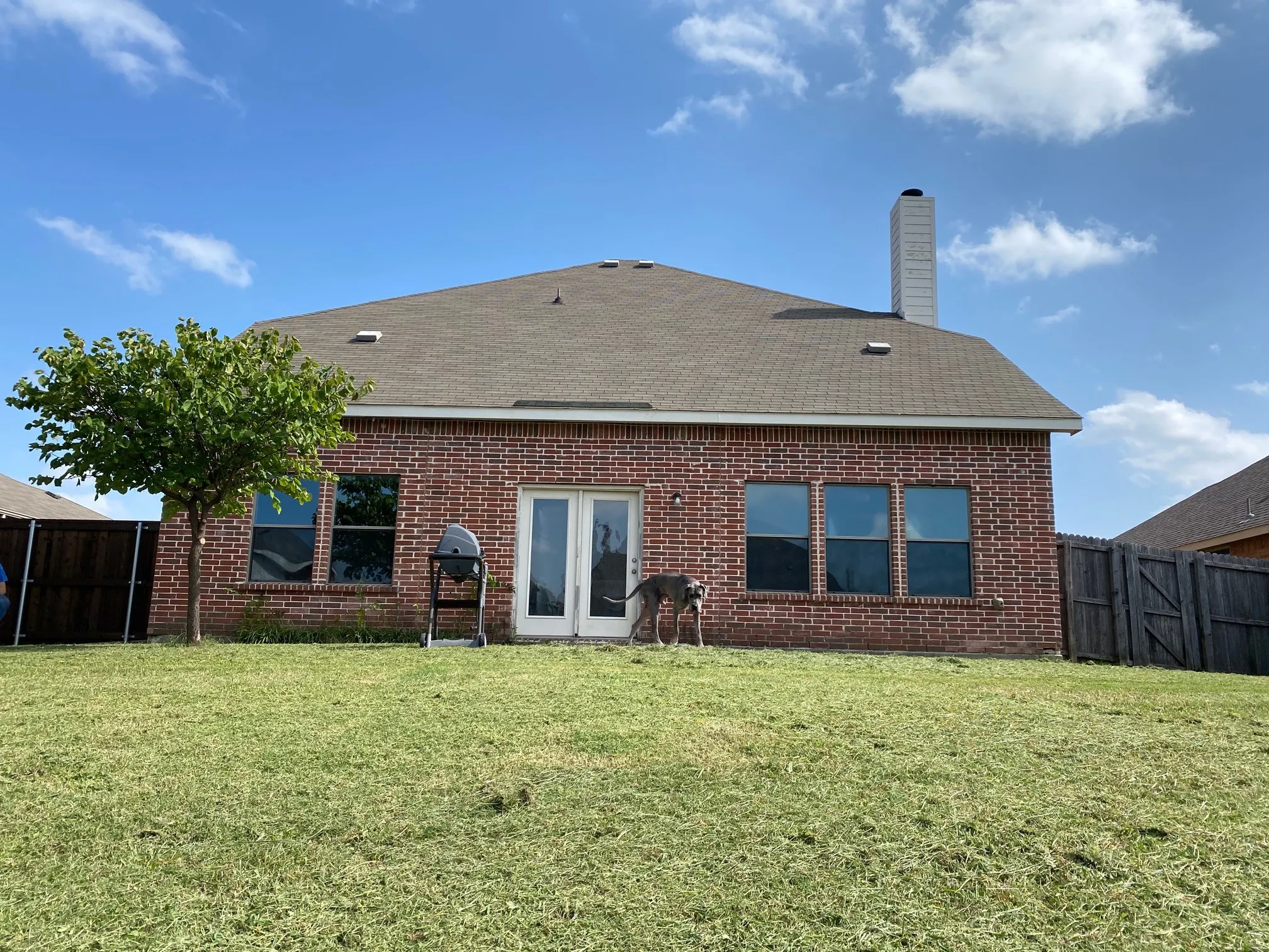 Single Family Residence For Rent in Denton County , 1060 Barrington Drive, Prosper, Texas 75078, 5 Bedroom, 3 Bathroom, 2 Garage spaces, 2,952 Sqft, built in 2010, mls#21403742, Real Estate Agent in Prosper, Homes For Rent in Denton county, Homes For Rent in Prosper, Realtor in Prosper Texas, Real Estate Brokerage Independent Realty Texas, Luminita Cordes Realtor