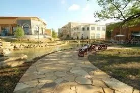 Single Family Residence For Rent in Collin County , 924 Marian Drive, Allen, Texas 75013, 2 Bedroom, 3 Bathroom, 2 Garage spaces, 1,722 Sqft, built in 2017, mls#21403768, Real Estate Agent in Allen, Homes For Rent in Collin county, Homes For Rent in Allen, Realtor in Allen Texas, Real Estate Brokerage Independent Realty Texas, Luminita Cordes Realtor