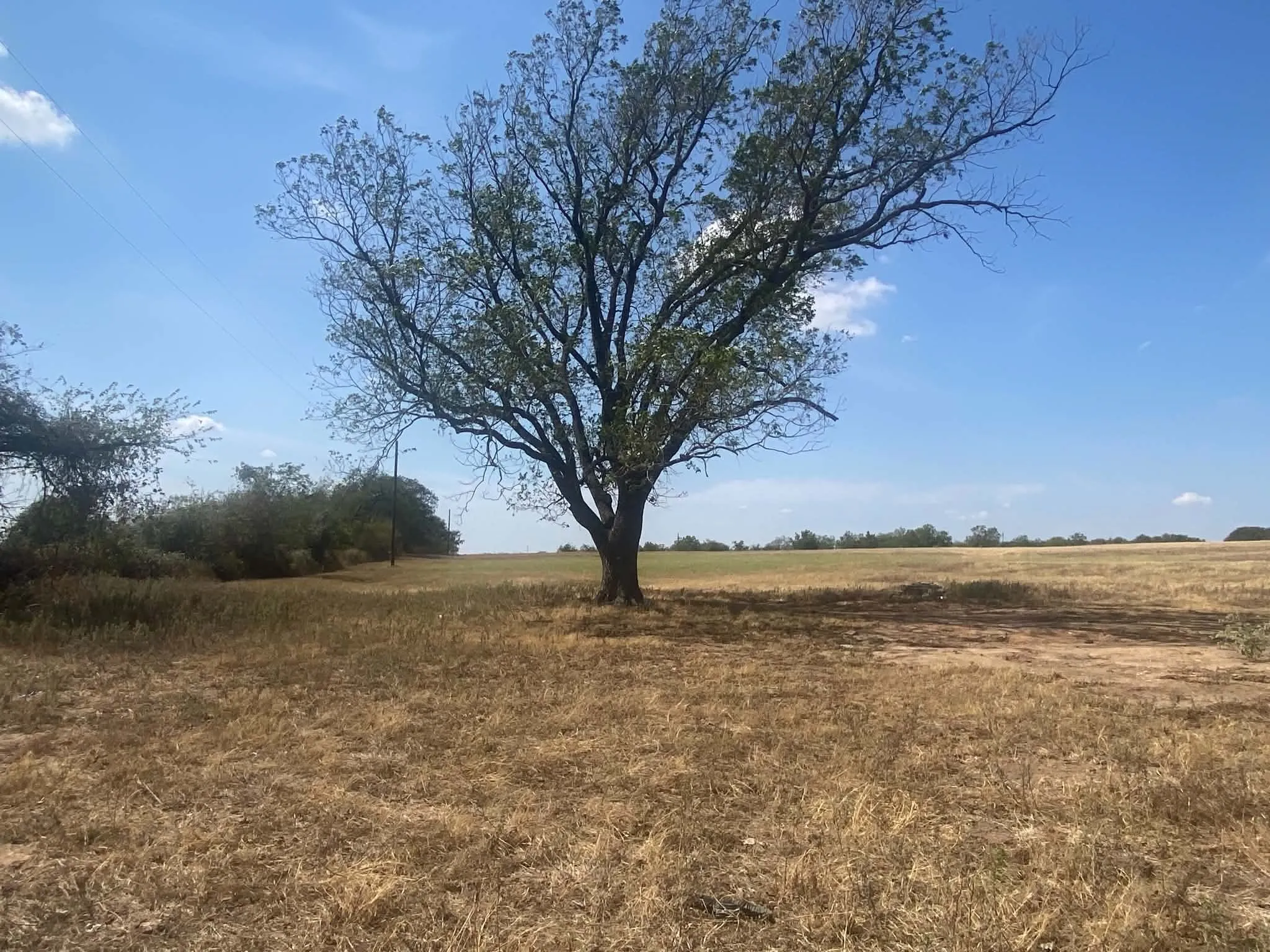 Unimproved Land For Sale in Erath County , 608 County Road 373, Dublin, Texas 76446, 0, 0, Garage spaces, 0 Sqft, built in 2011, mls#21397304, Real Estate Agent in Dublin, Homes For Sale in Erath county, Homes For Sale in Dublin, Realtor in Dublin Texas, Real Estate Brokerage Independent Realty Texas, Luminita Cordes Realtor